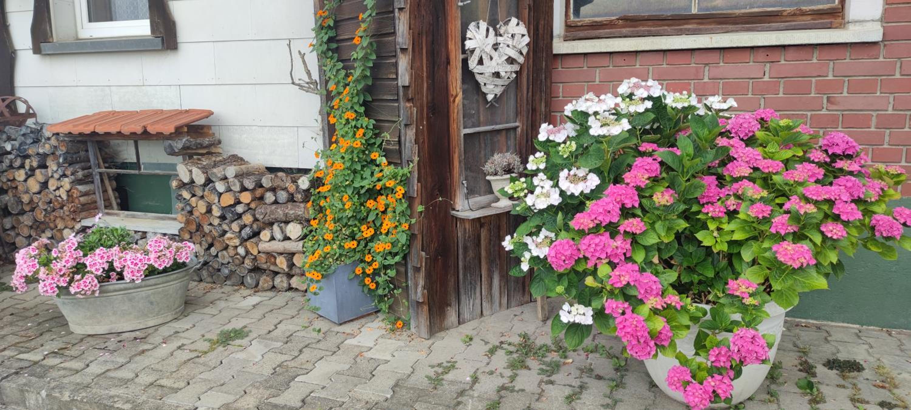 Gästehaus Fechtig