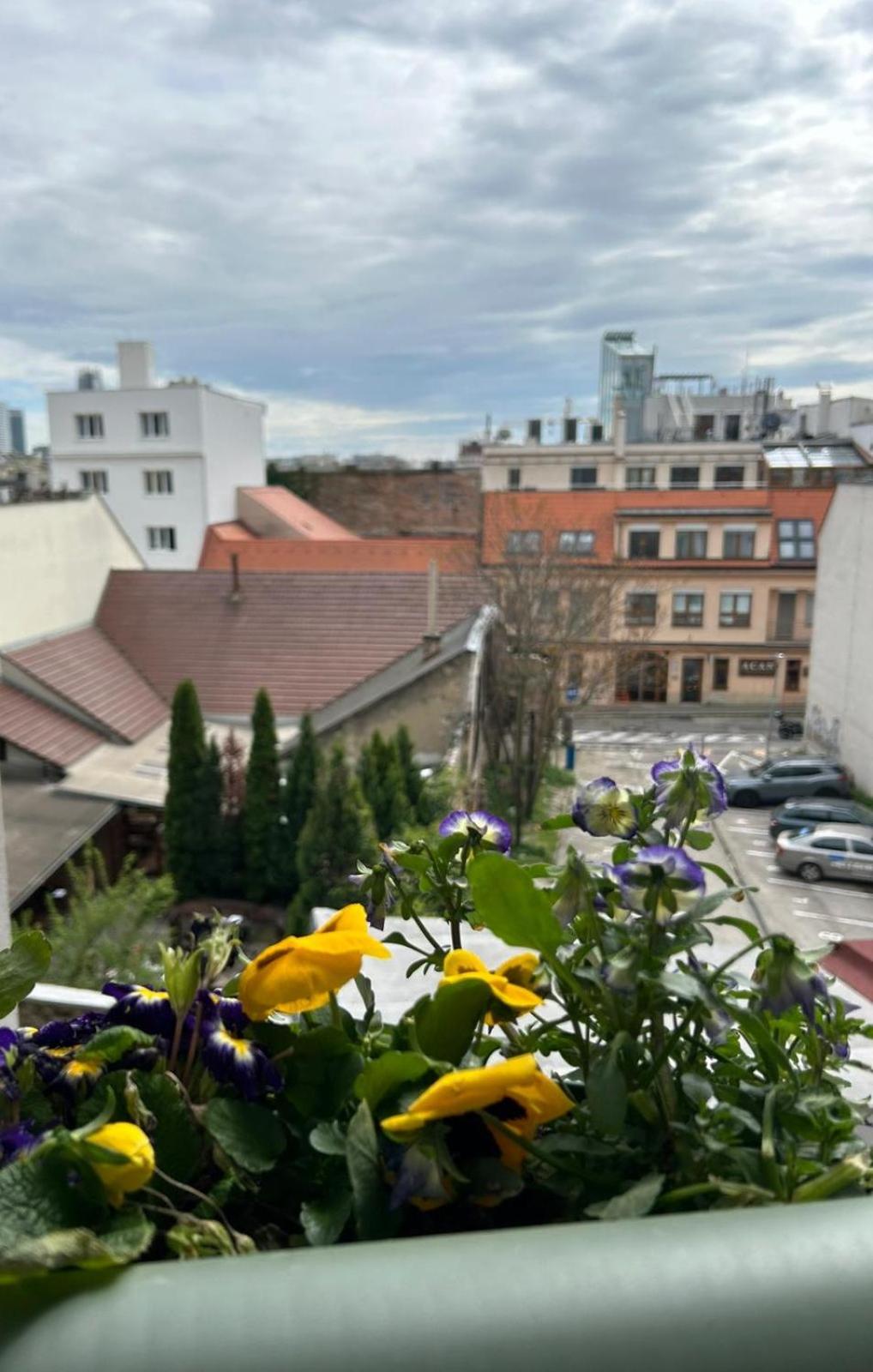 LEO Apartment FREE PARKING - President Palace