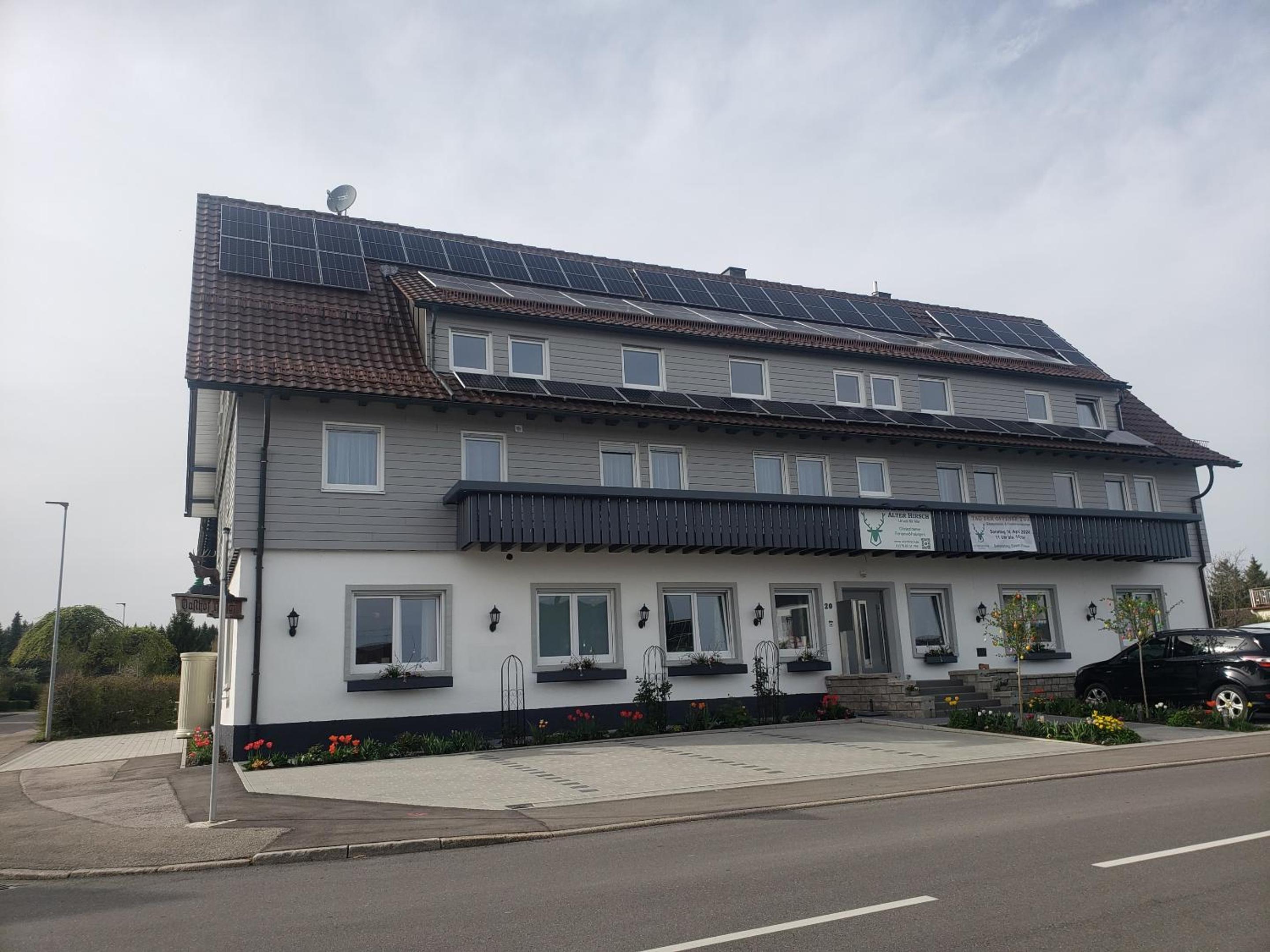 Pension Alter Hirsch view 3