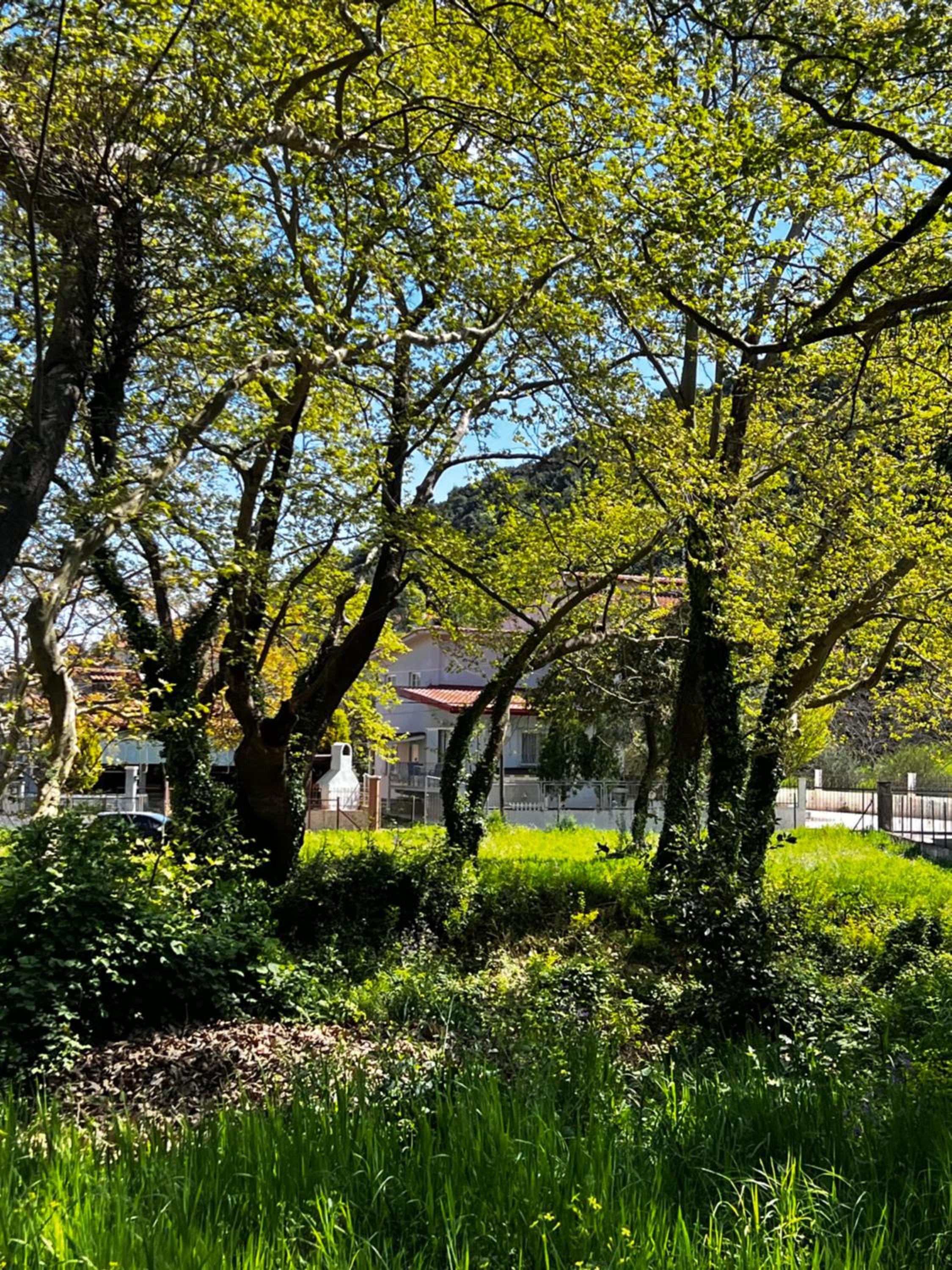 Photo 25