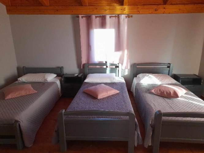 Elia studios photo 3