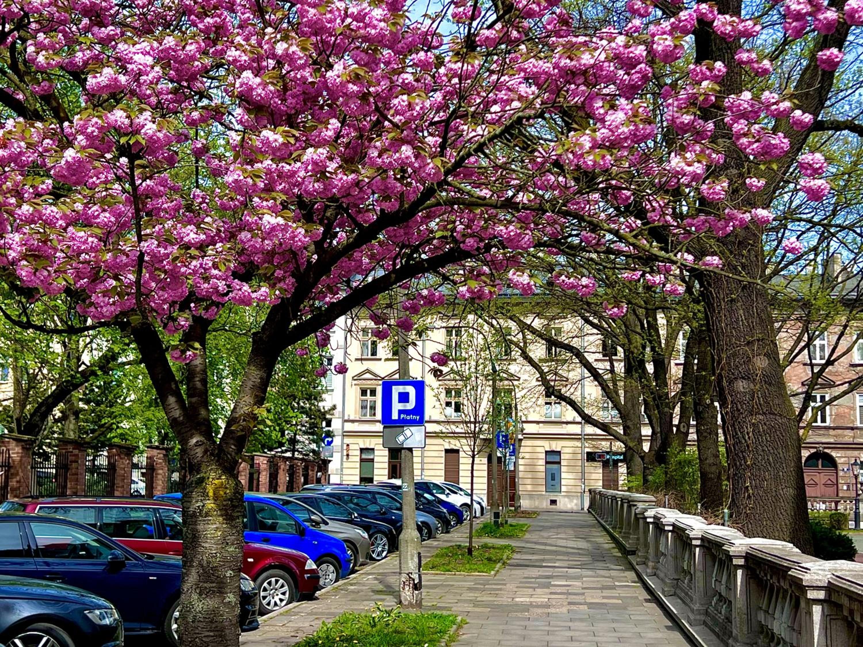 Krakow Central Apartments