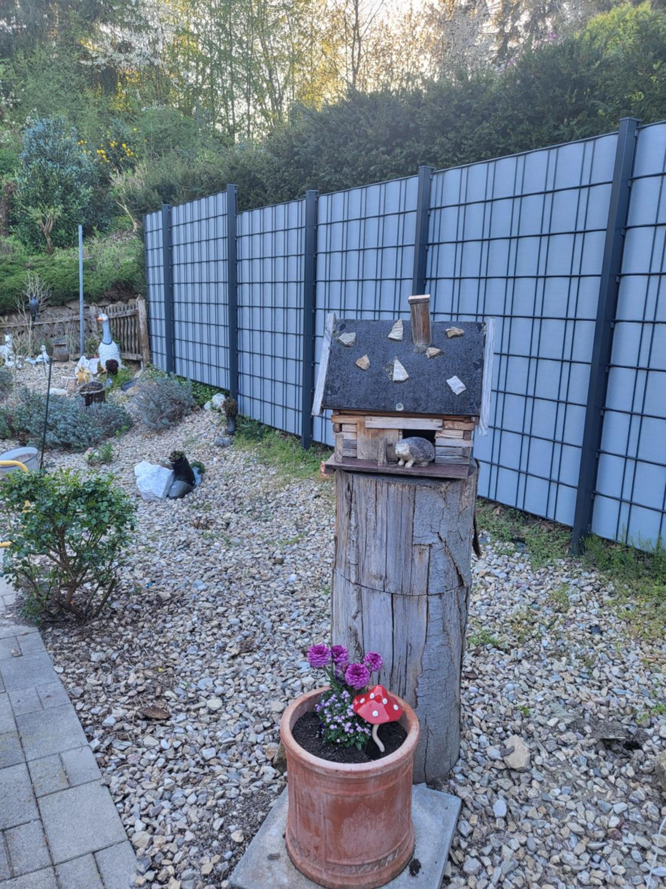 Appartement Purzel