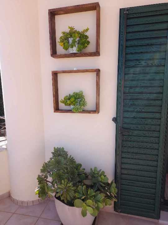 Elia studios photo 5