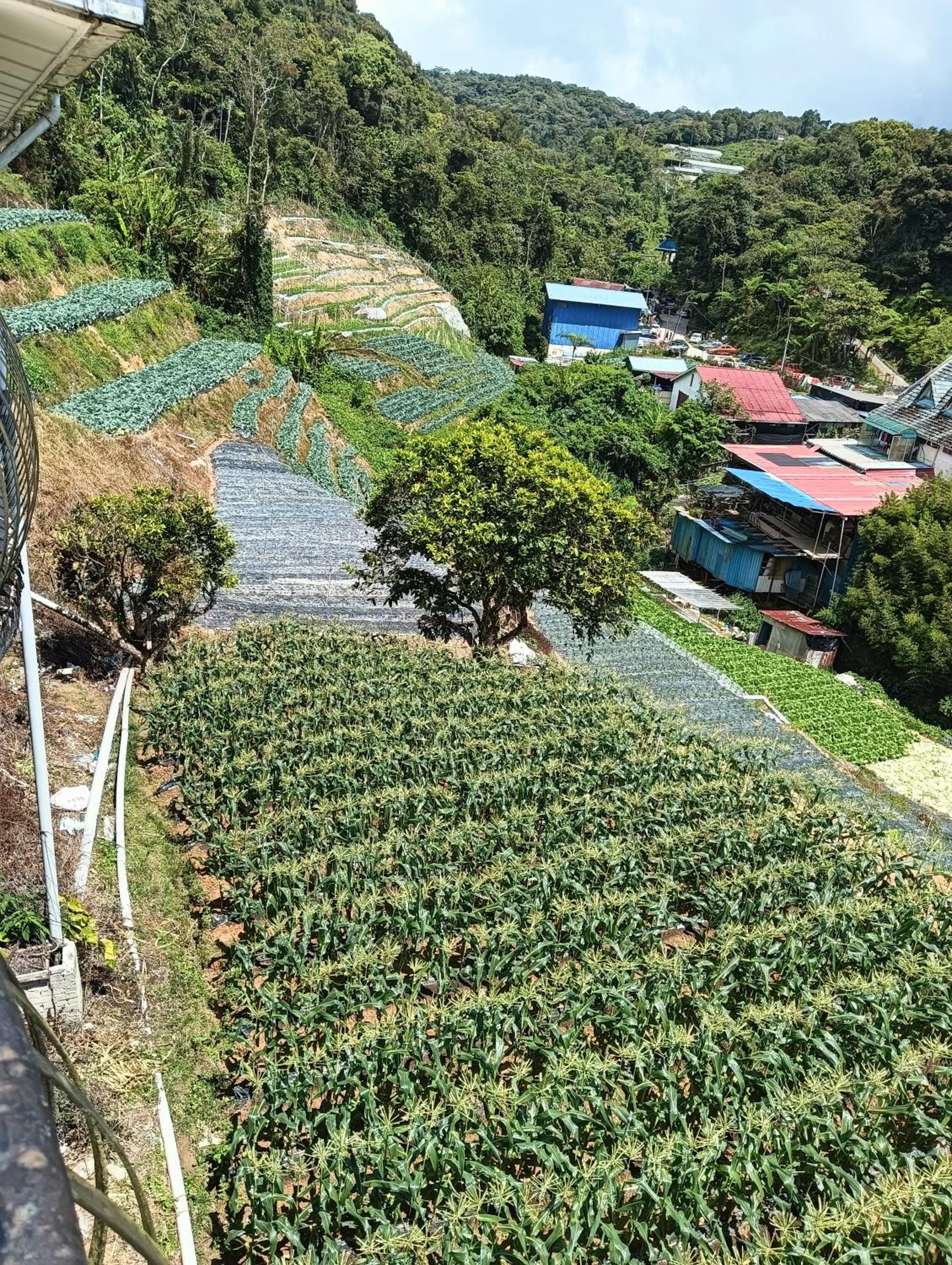 Sri Juliana Chalet photo 8