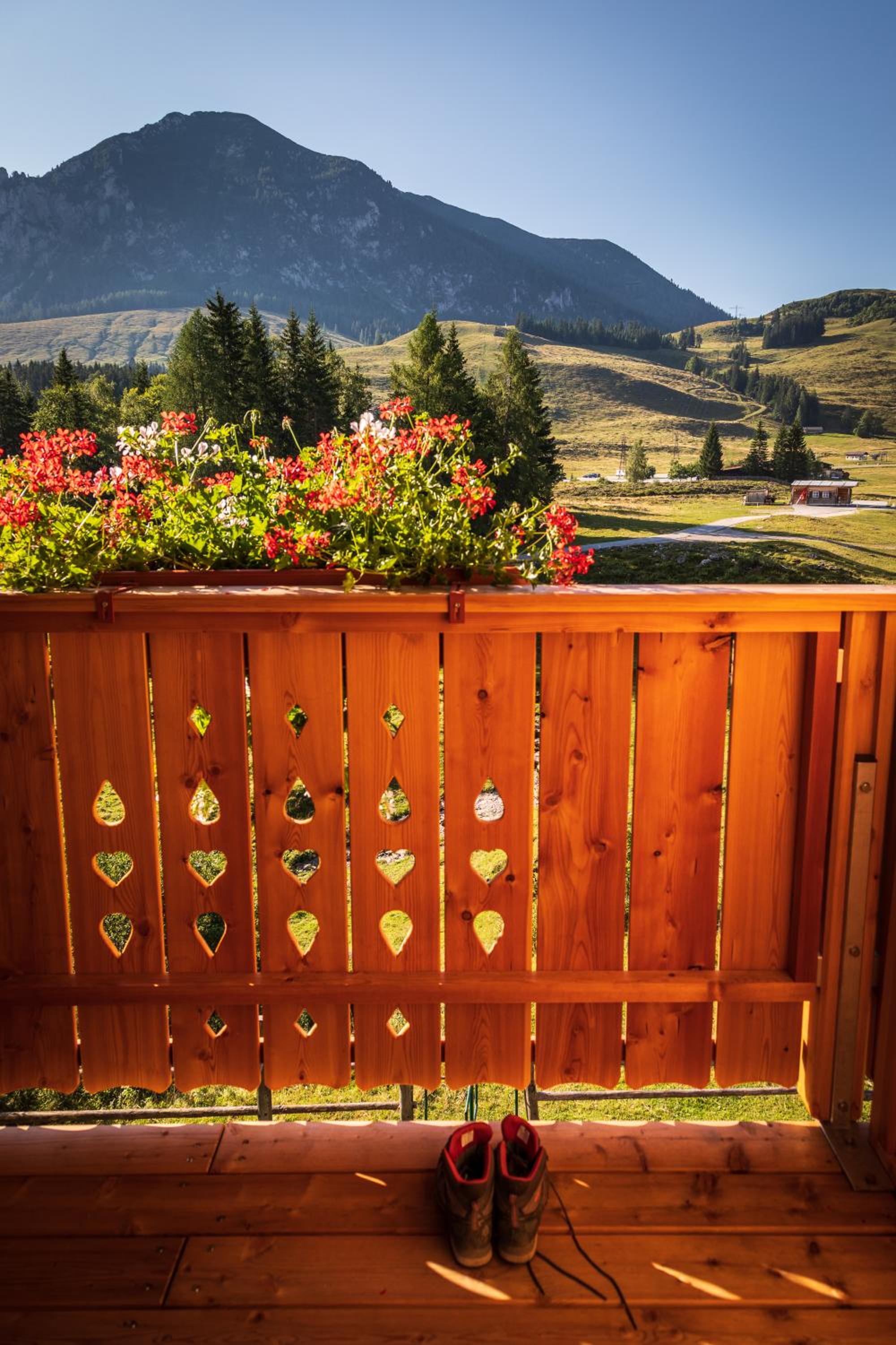 Almhaus Alpenrose Postalm