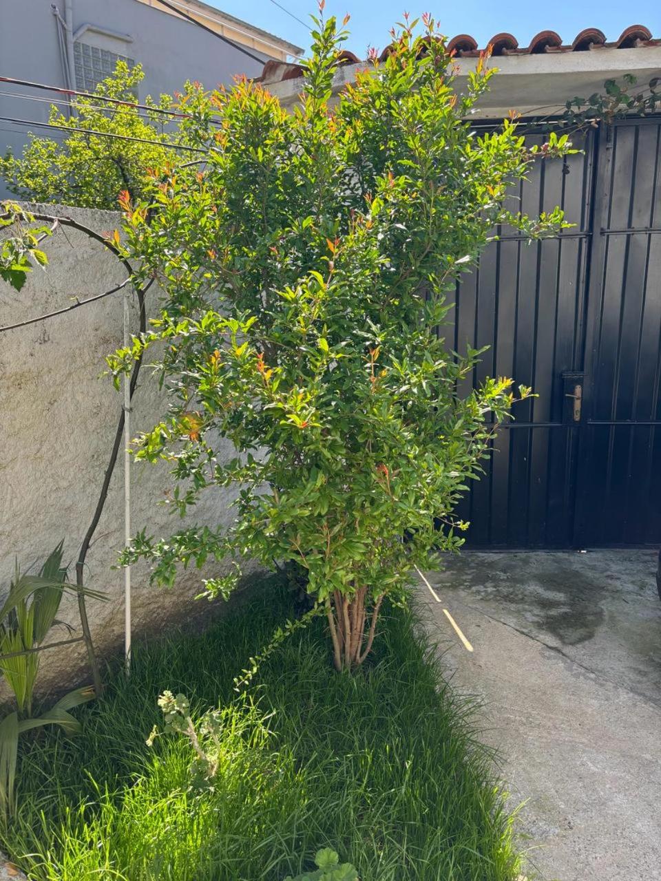 Garden One Bedroom Apartment