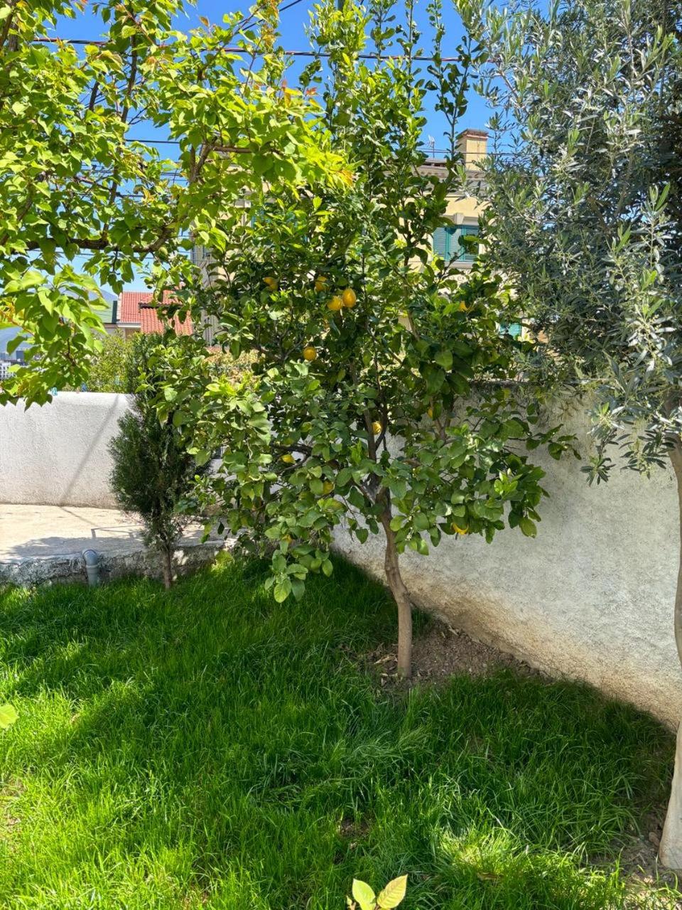 Garden One Bedroom Apartment