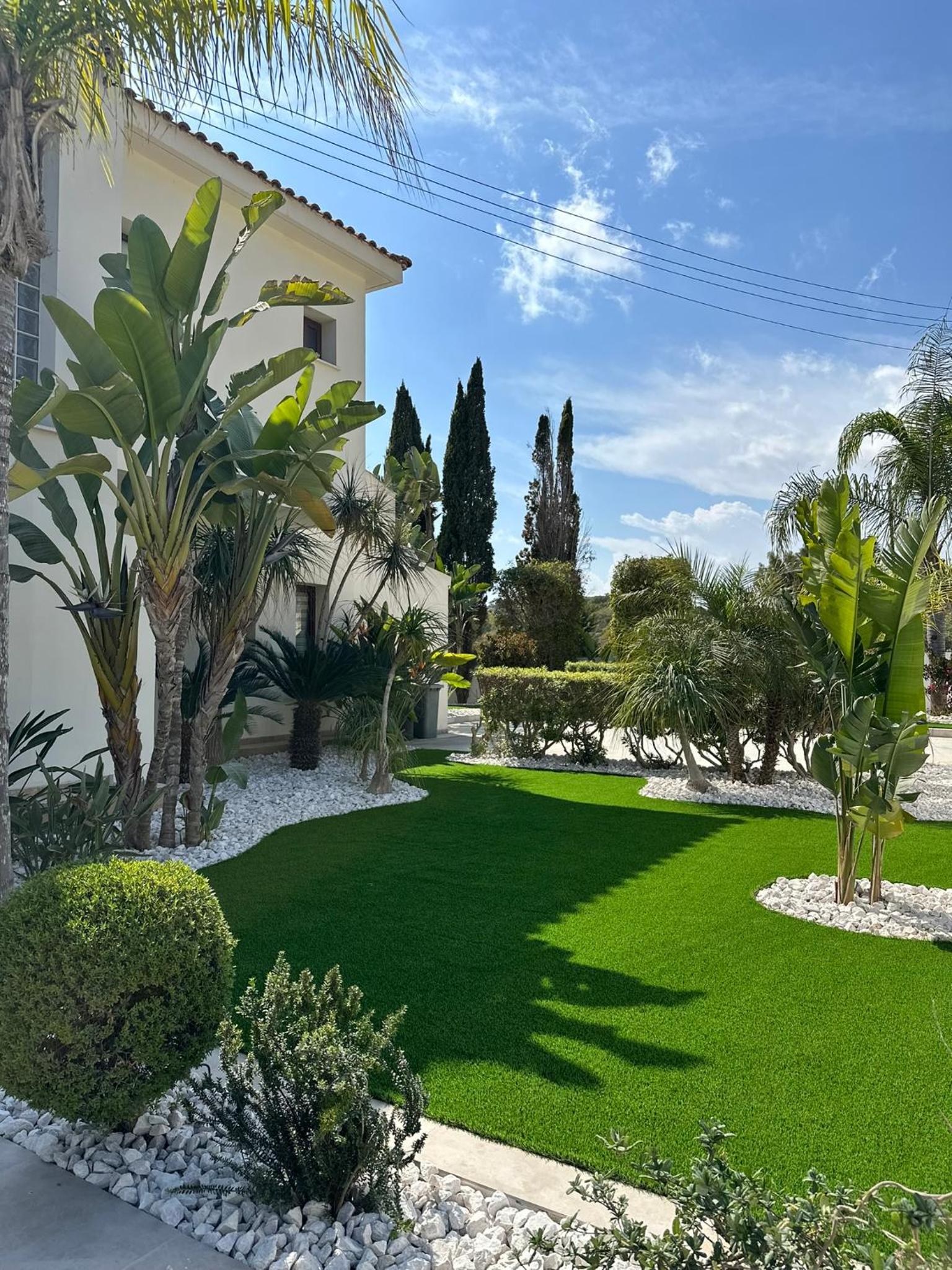 Leo's Paradise view 5