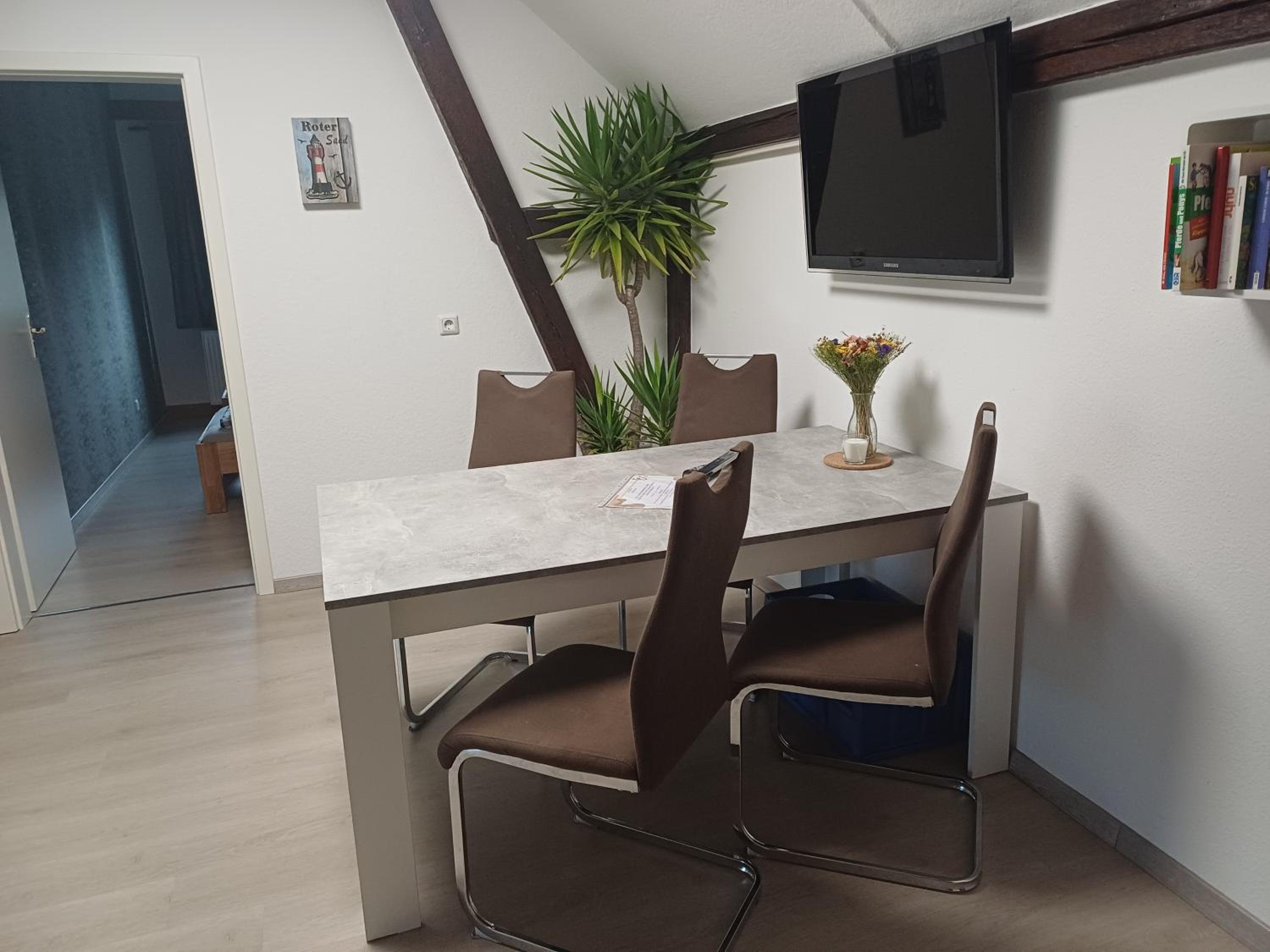 Dresden Vacations - Monteurswohnung und Fewo Dresden - Property Image 14