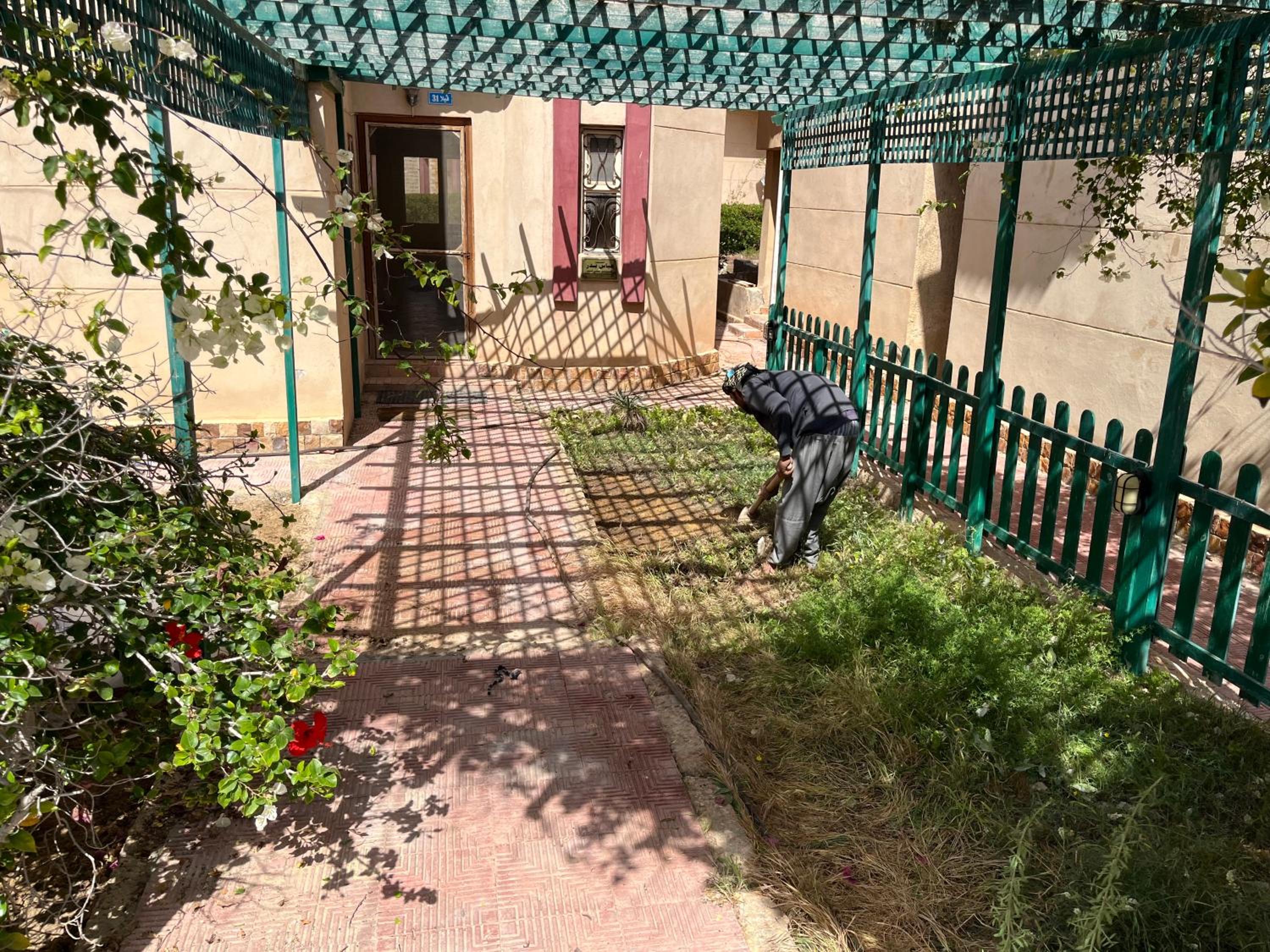 Photo 44