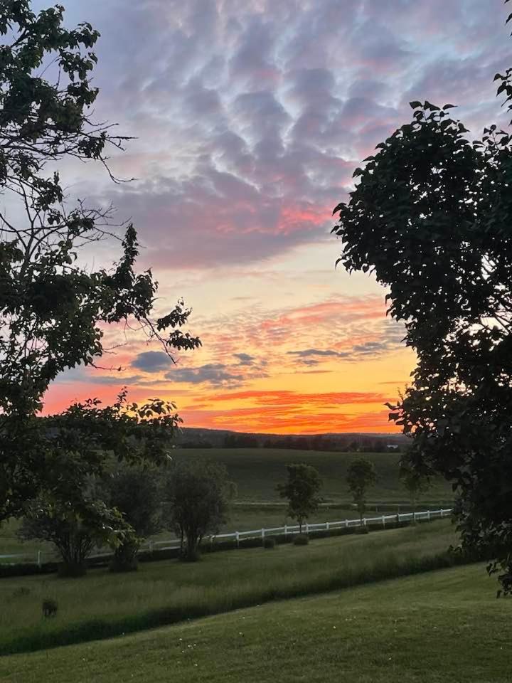 Mountain Ash Country Manor and Spa