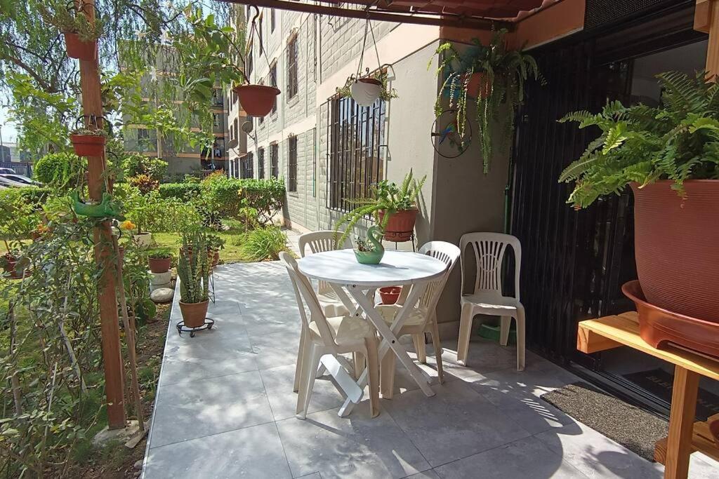Mini Apartamento Vista Verde