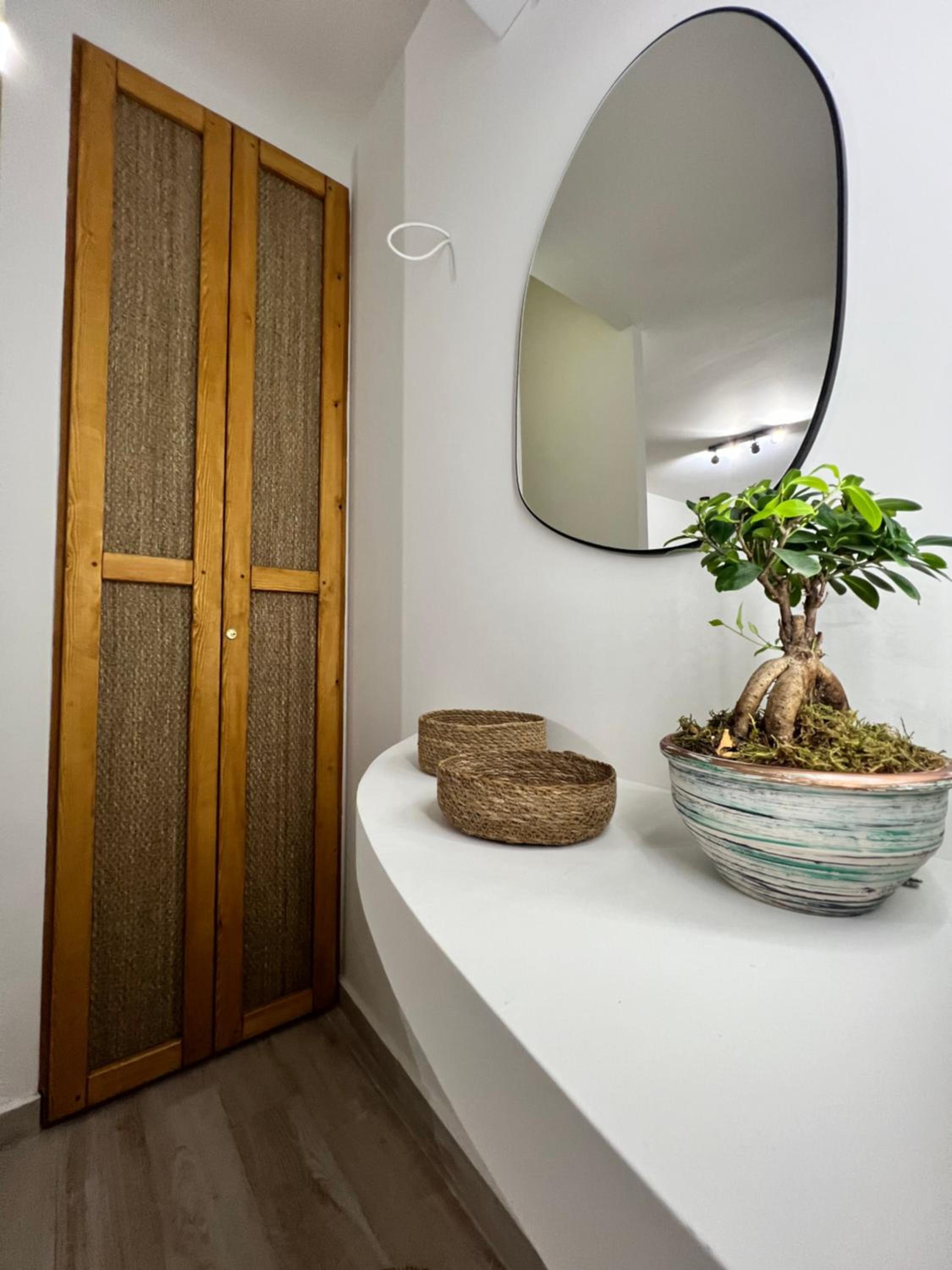 Olea White