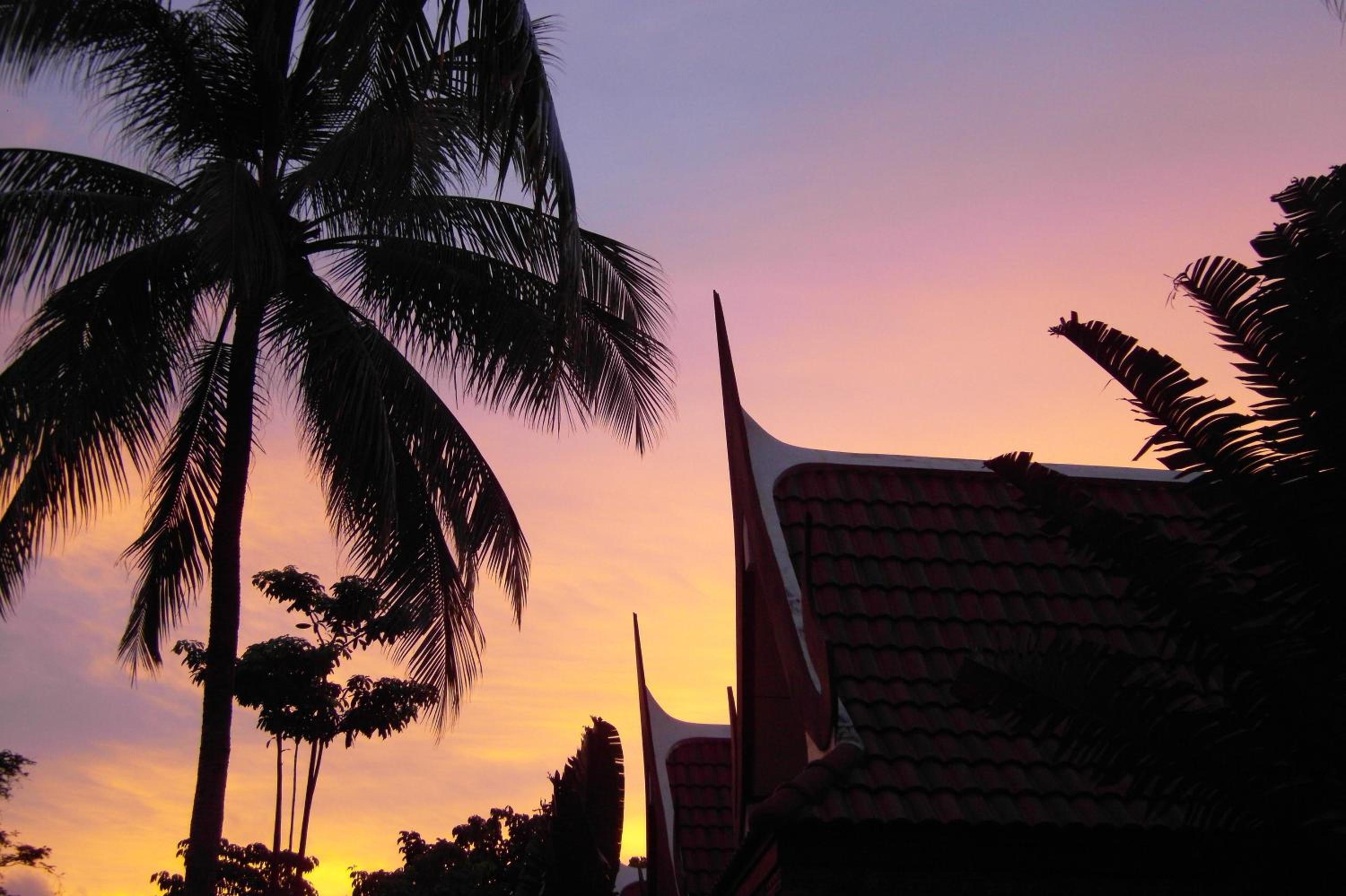 Palm Village