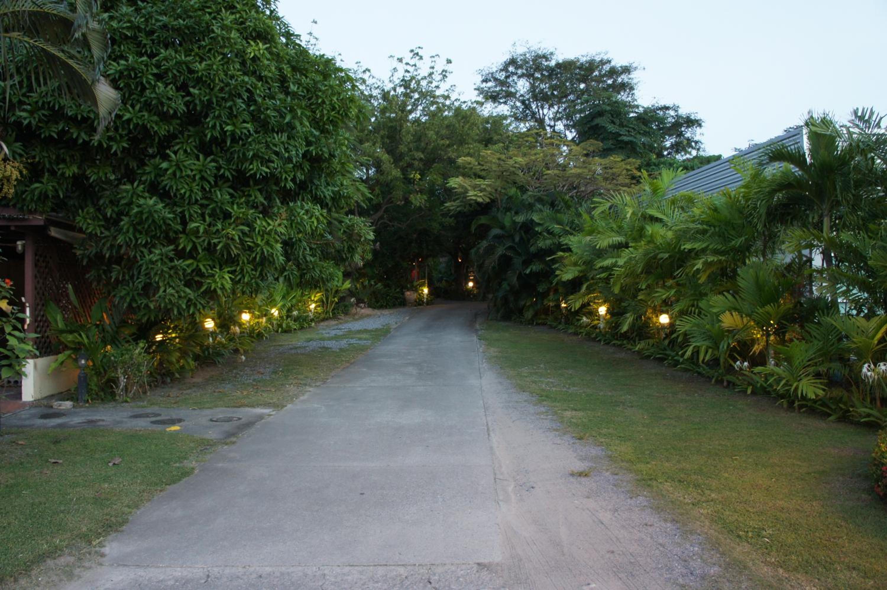 Palm Village