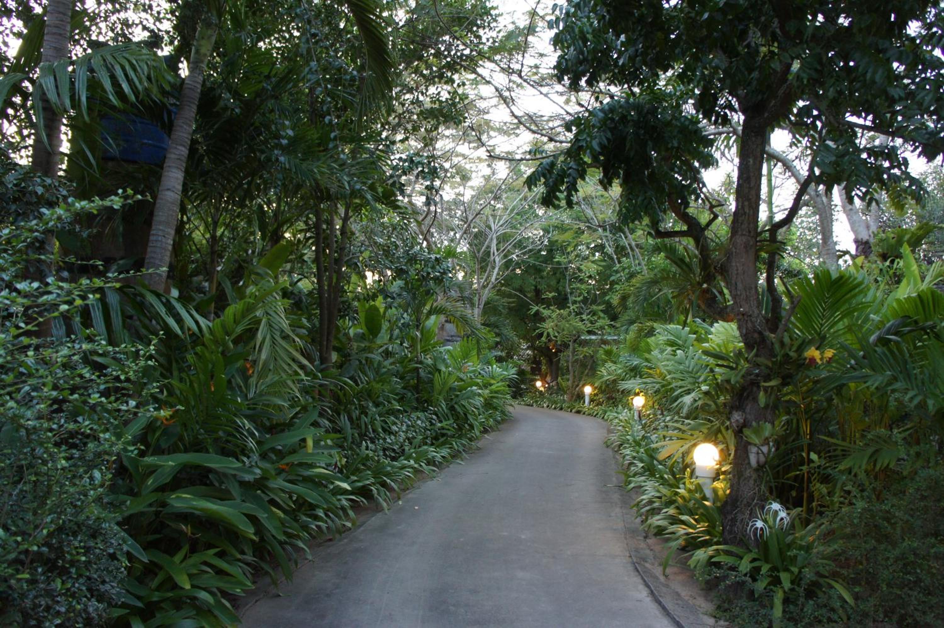 Palm Village