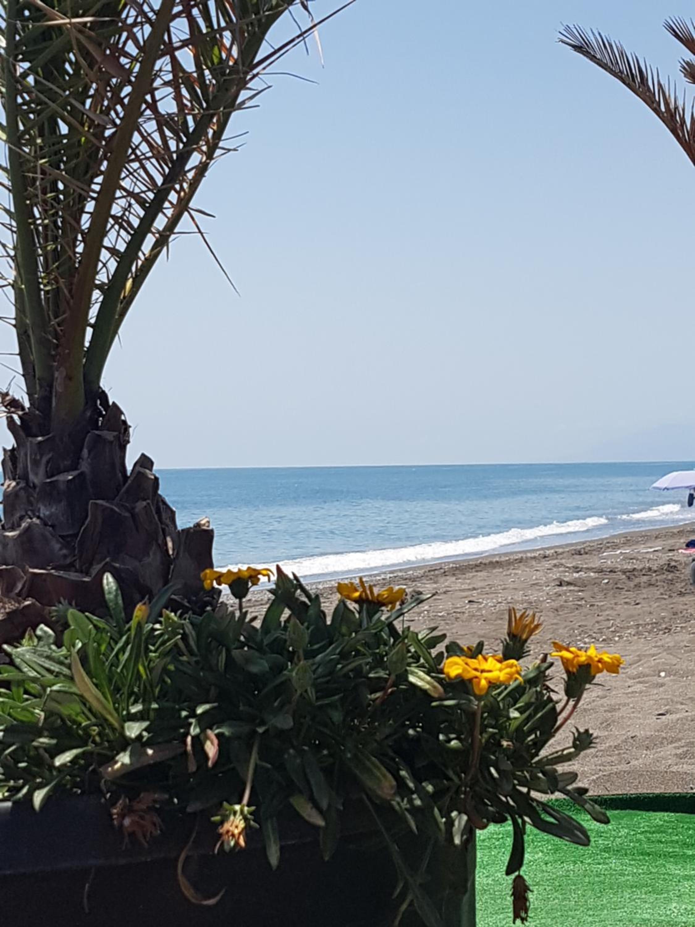 Guesthouse Sleeps 2 - Pool Access