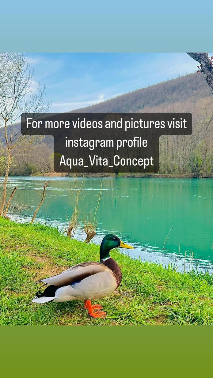 Aqua Vita Concept