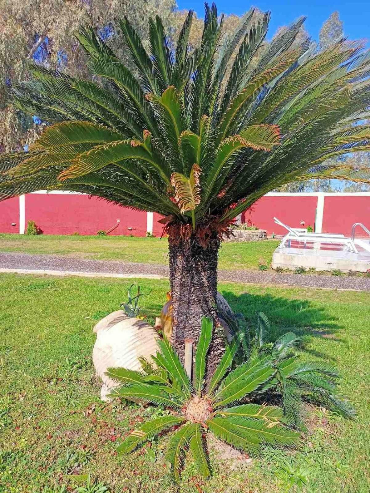 Photo 44