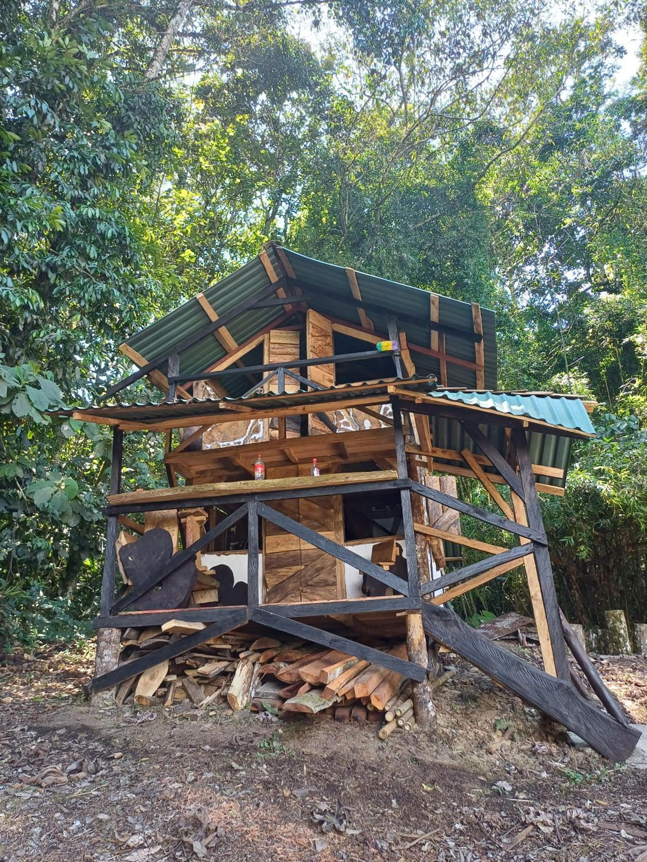 Bosque de Oro