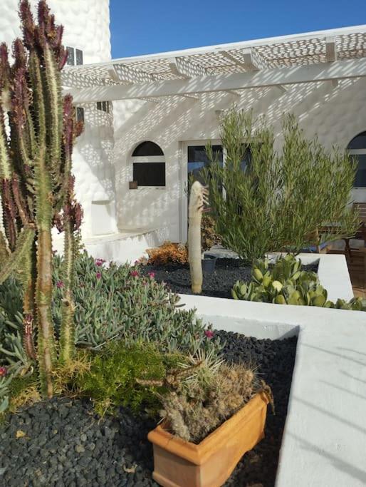 Lovely house Fuerteventura, cactus garden*sea view