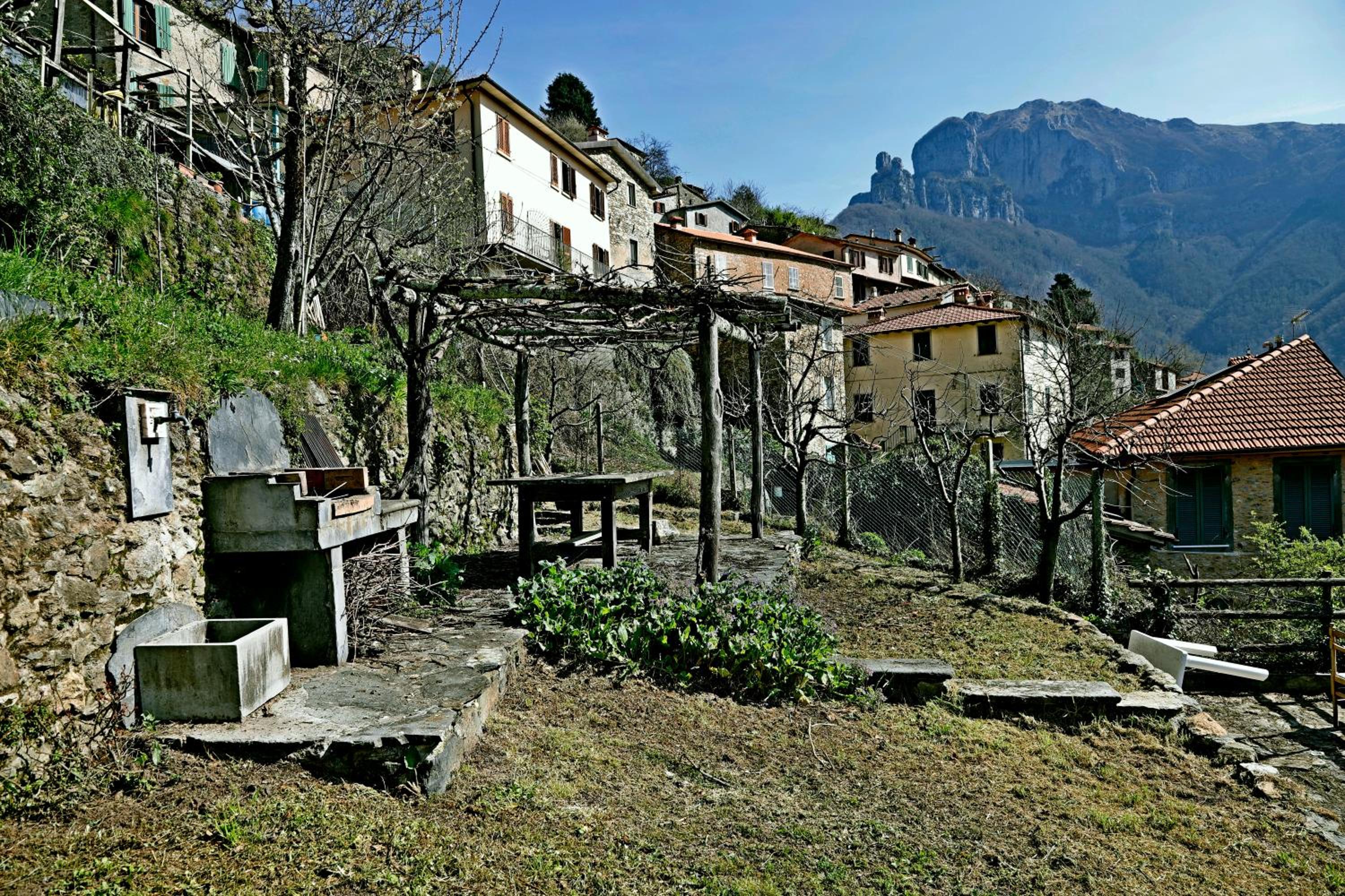 Photo 11