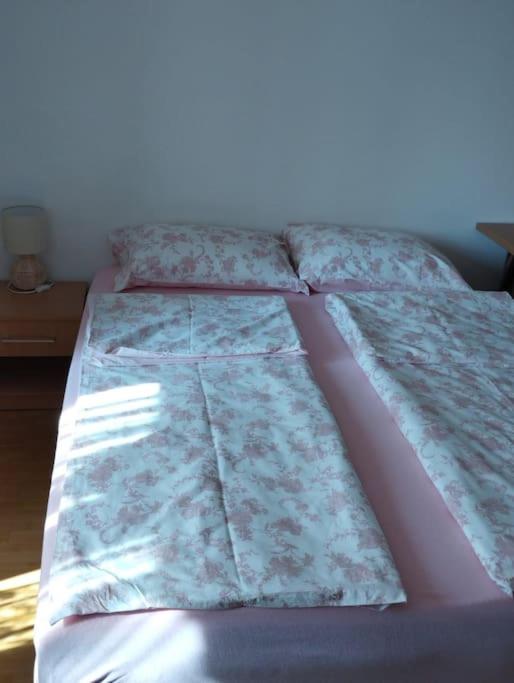 Apartment in Banja Koviljaca view 2