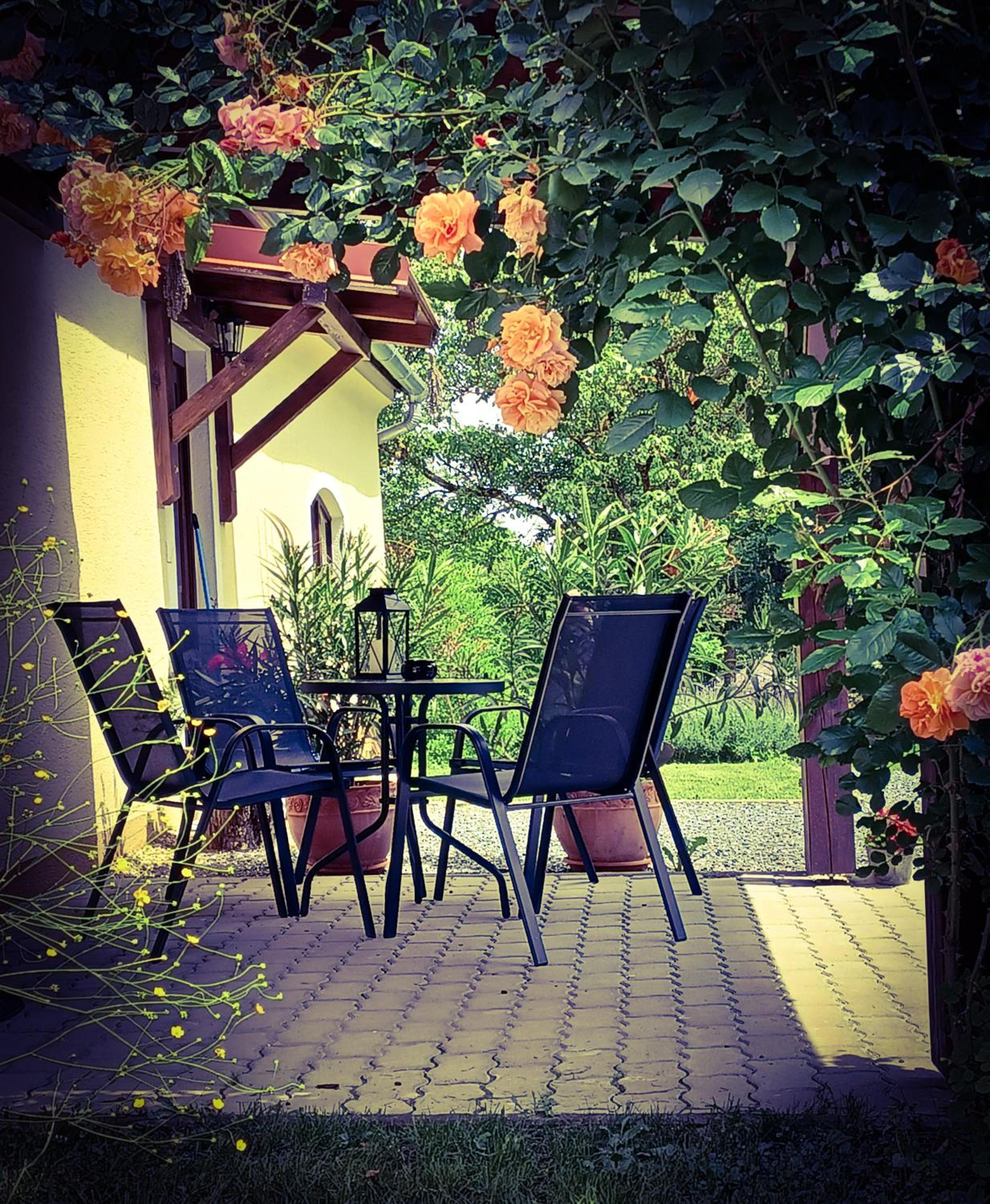 Photo 32
