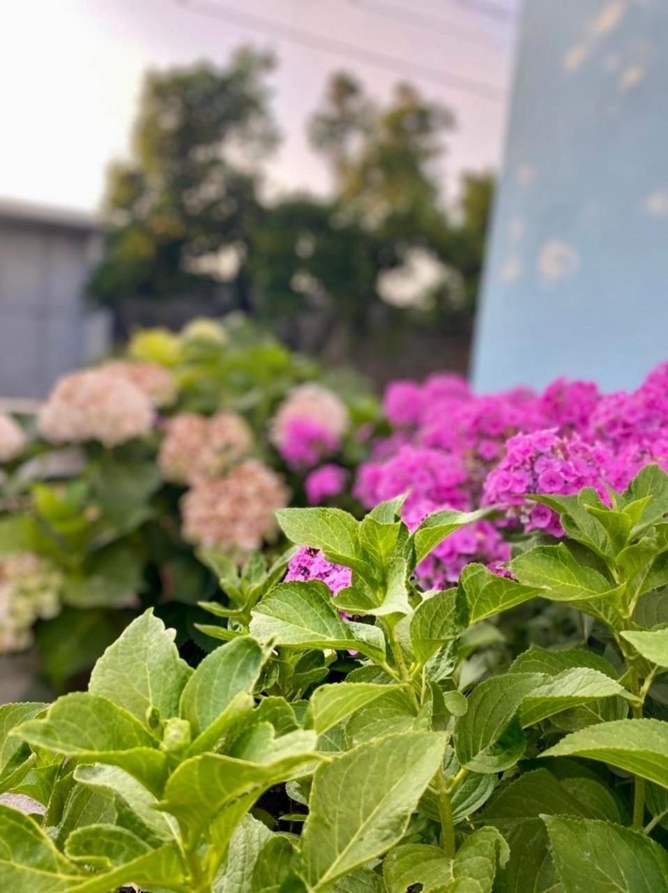 Mia Guest House - Entire home with balcony & garden