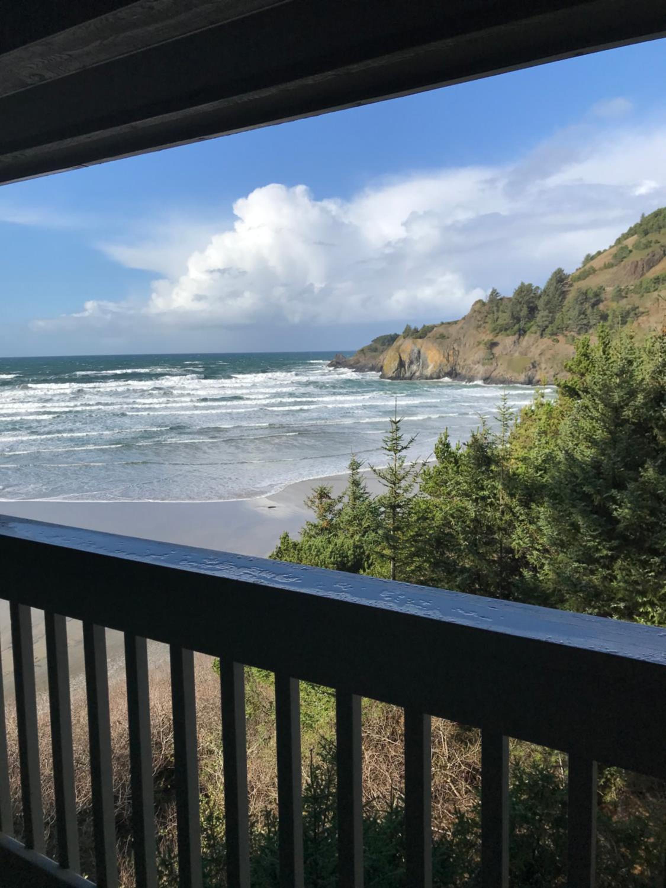 Starfish Point