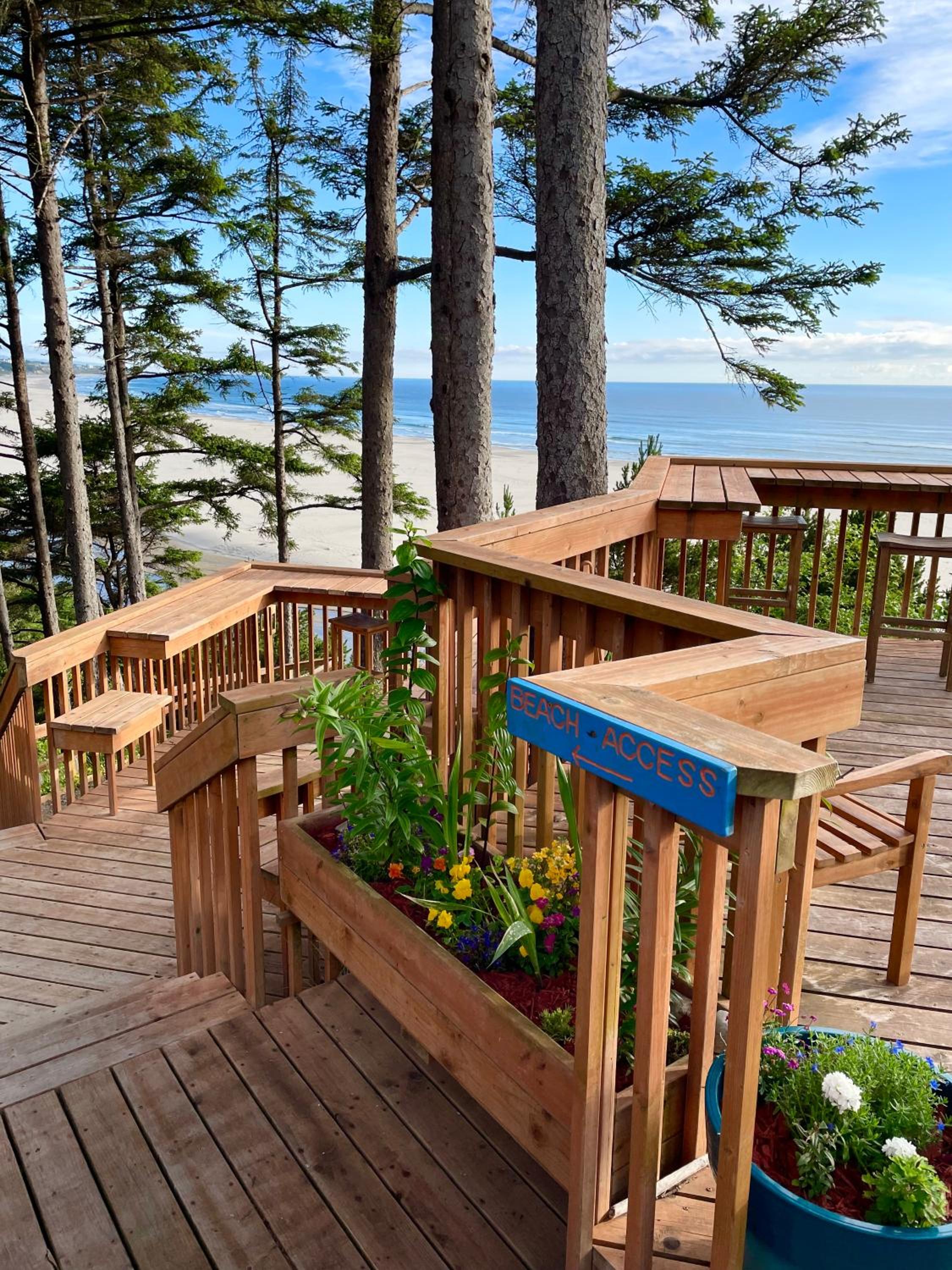 Starfish Point