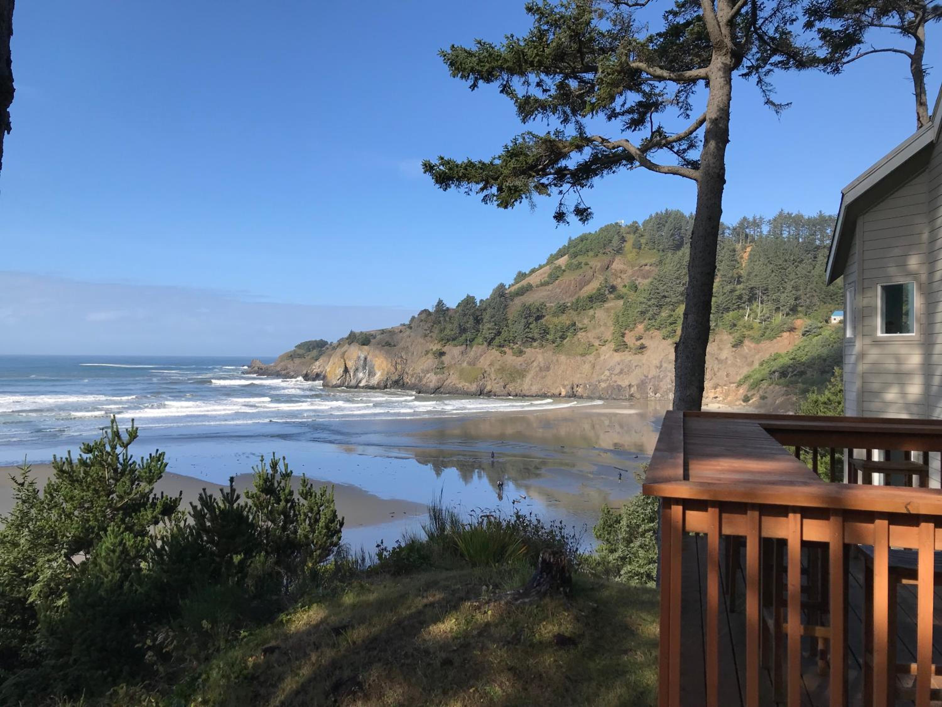 Starfish Point