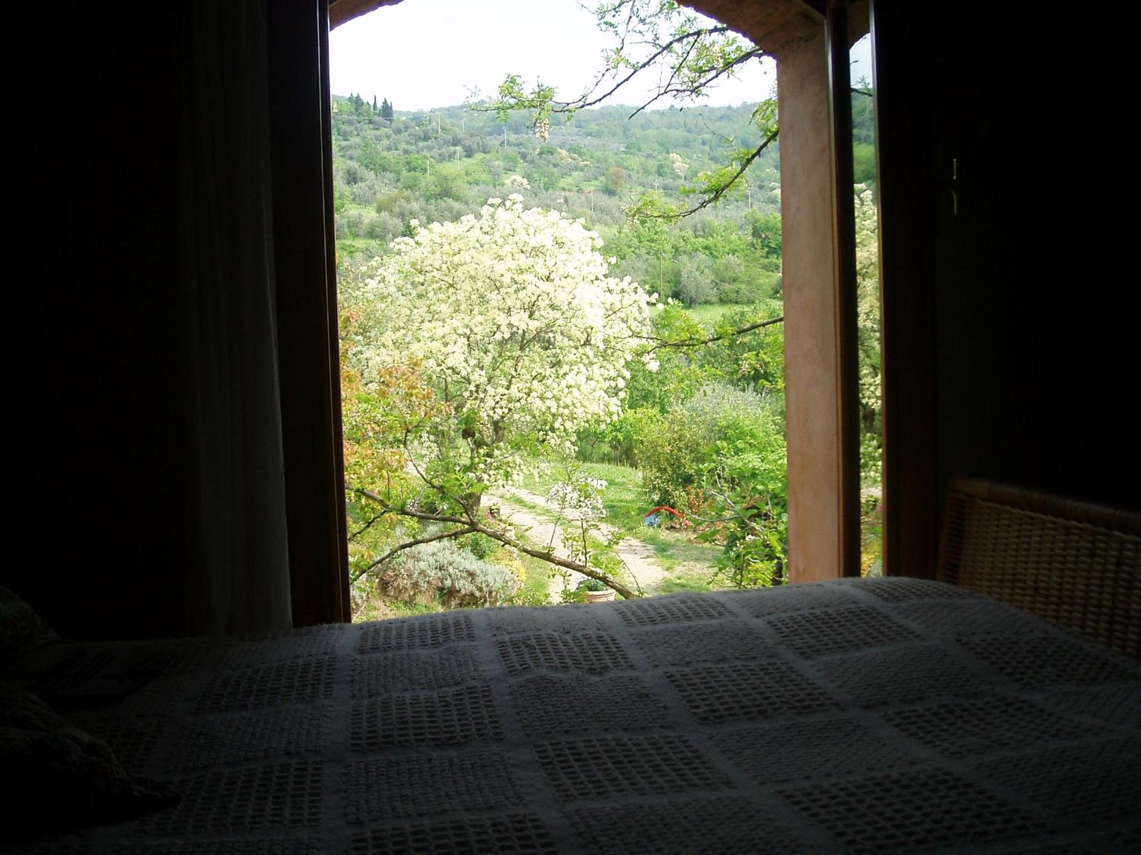 Fattoria il Leccio Independent Apartment on Florence Hills view 3