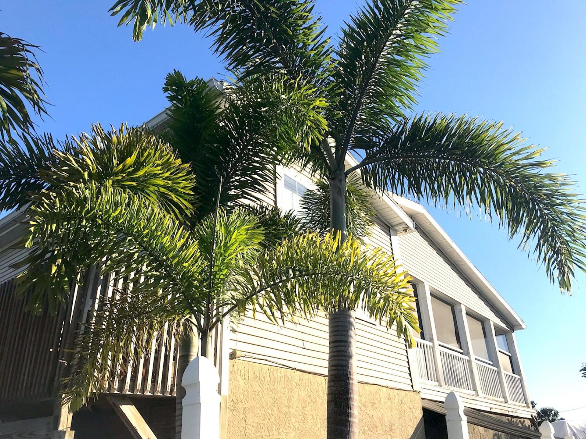 Siesta Key Waterfront CHRISTMAS WEEK STILL OPENED!!