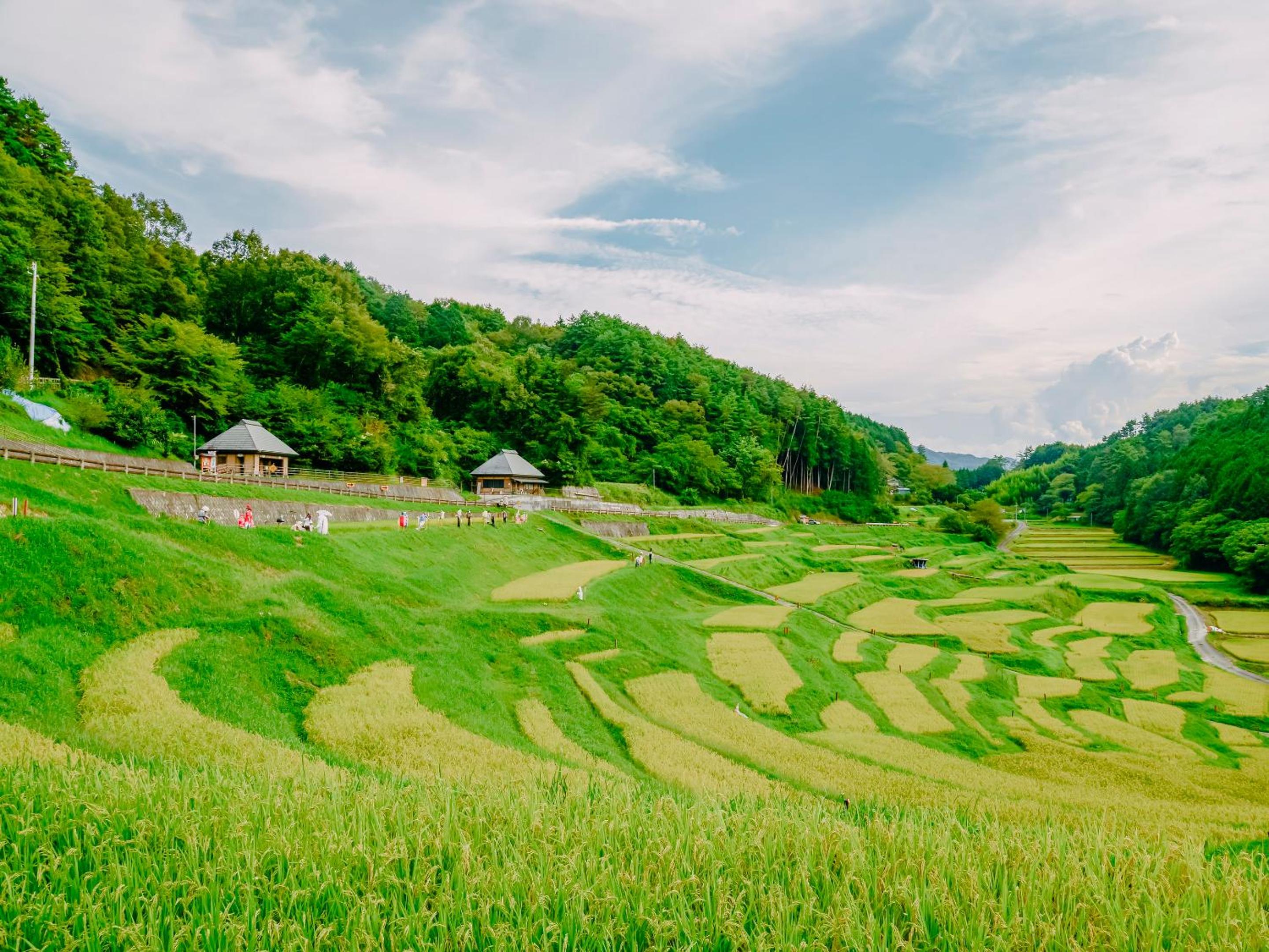 Fudouonsen Sawaya