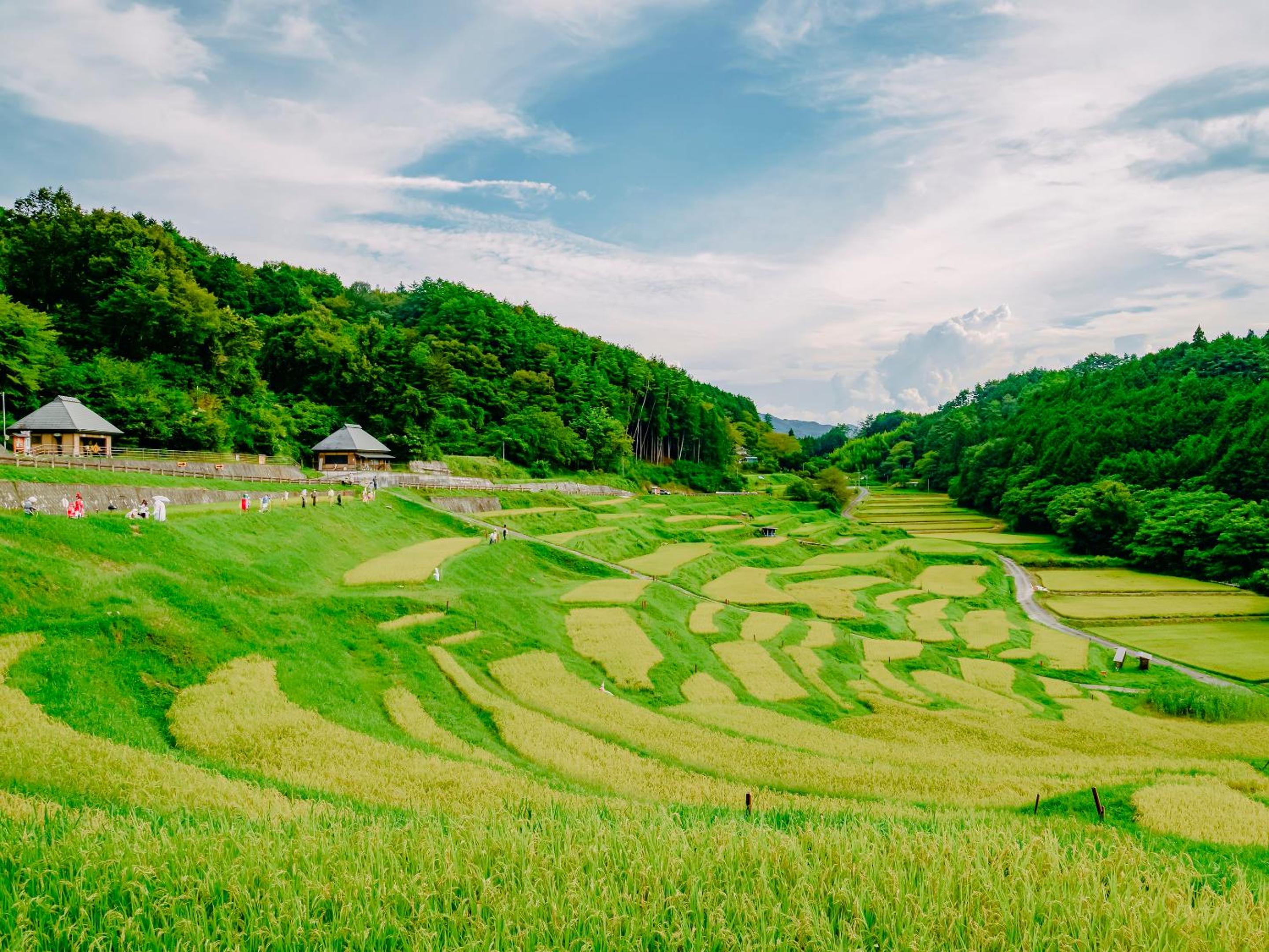 Fudouonsen Sawaya