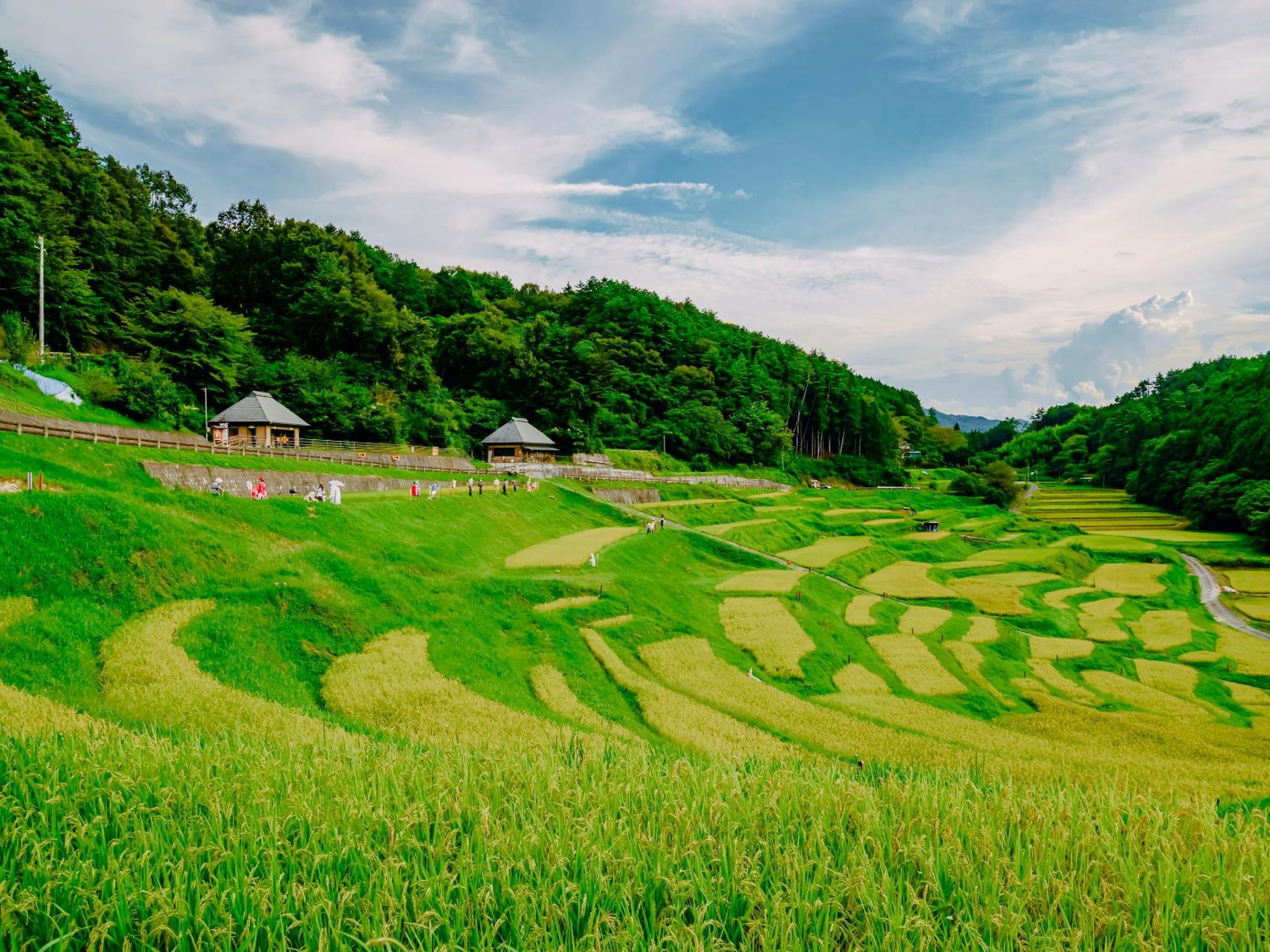 Fudouonsen Sawaya