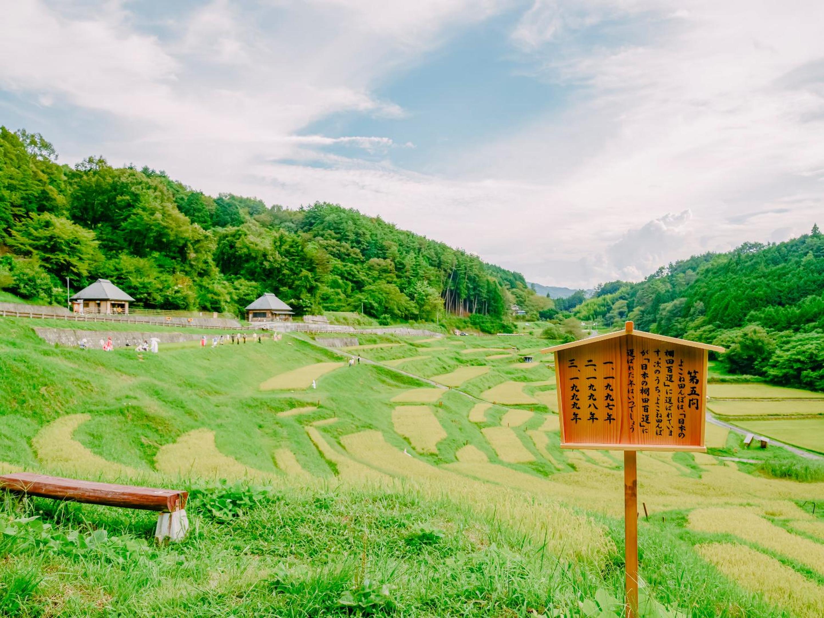 Fudouonsen Sawaya