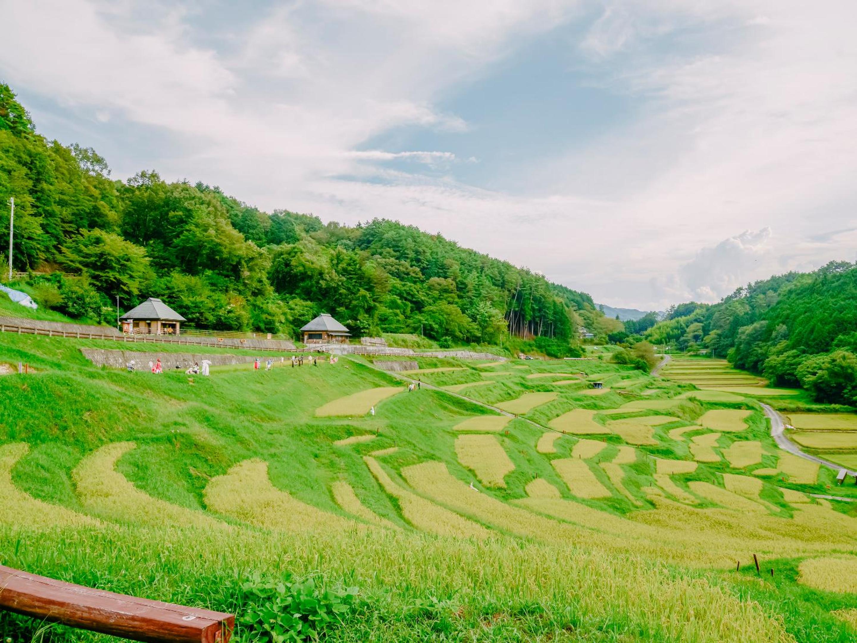 Fudouonsen Sawaya