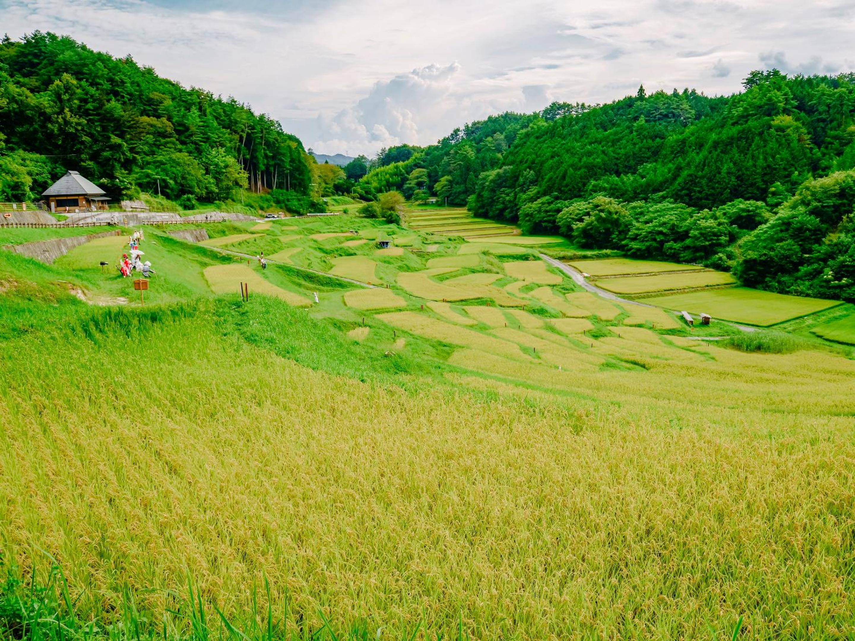 Fudouonsen Sawaya