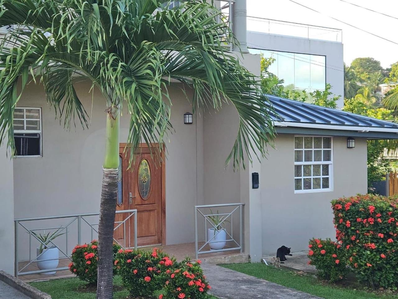 Cozy one Bedroom & Car rental Apartment Garden side