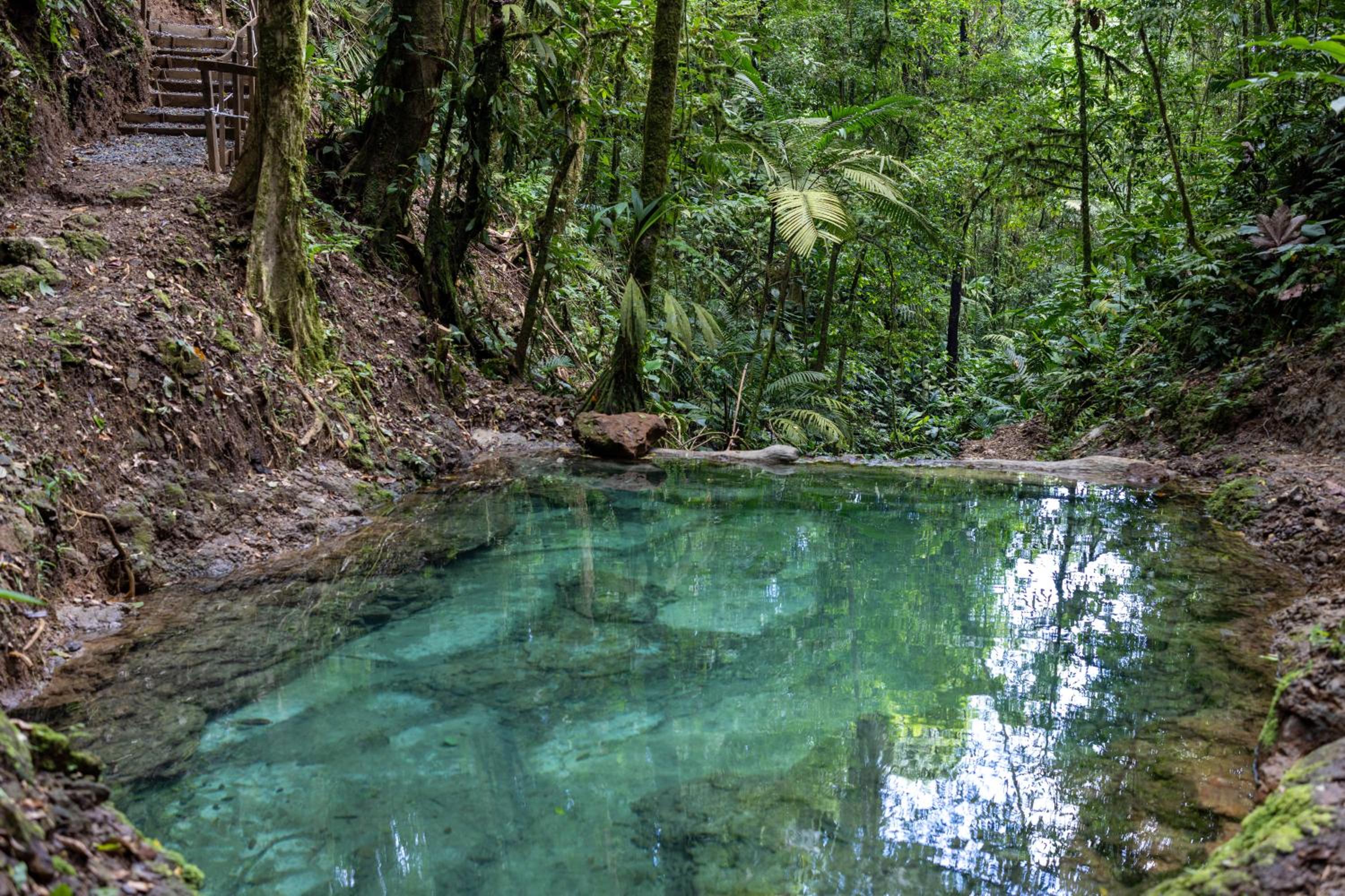 Cabañas Caeli, El Toucan, Peaceful Rainforest Retreat with Stunning Views