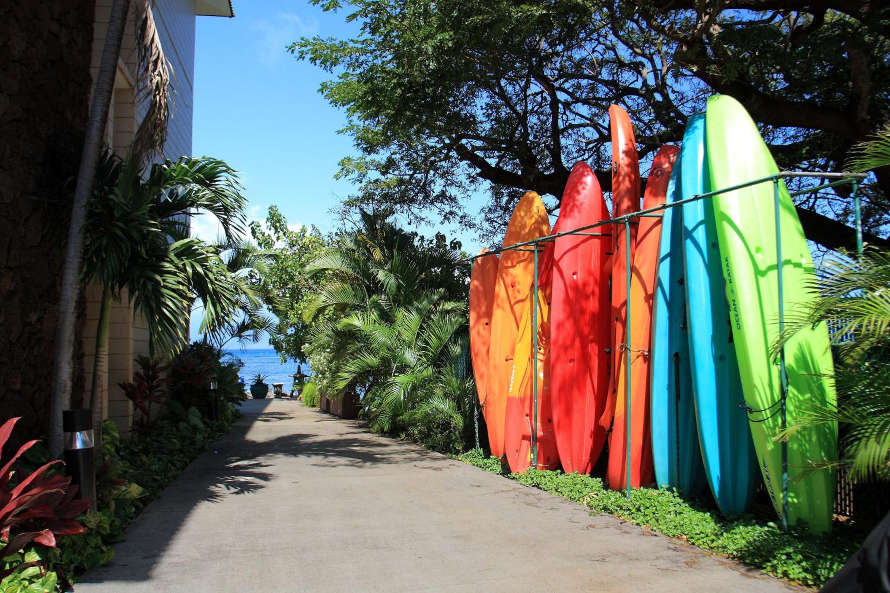 activities & amenities