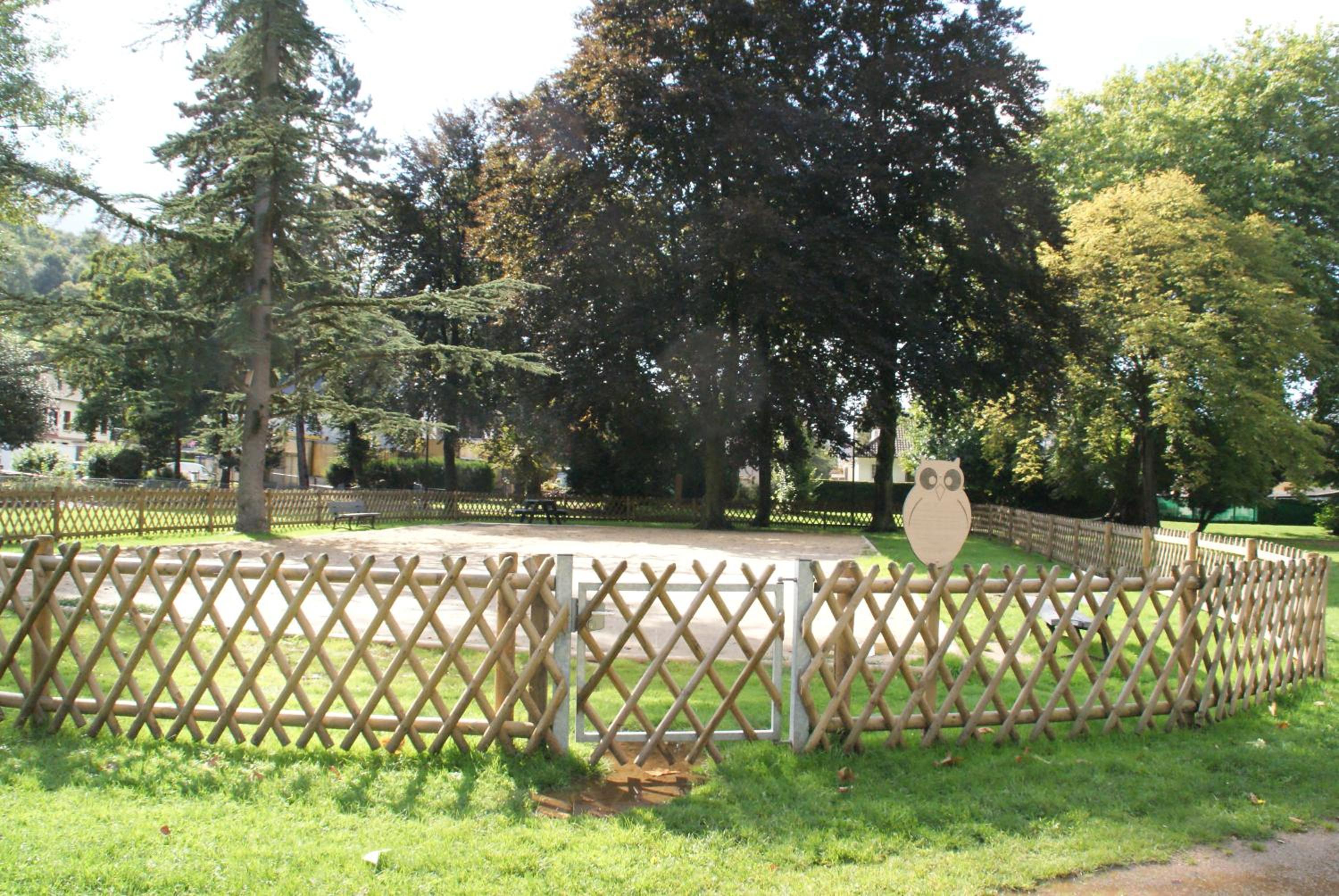 Photo 6