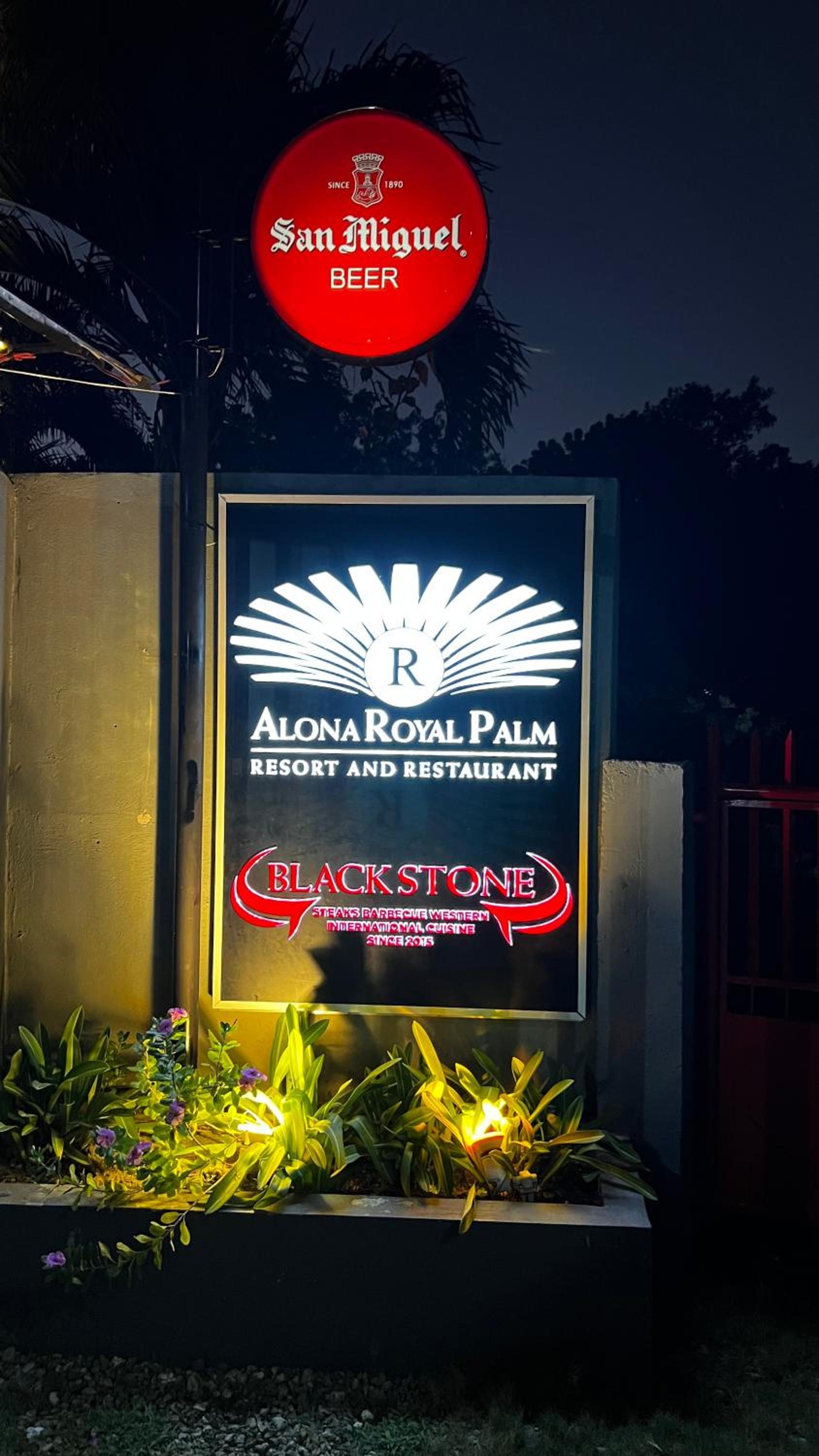 Alona Royal Palm Resort view 4
