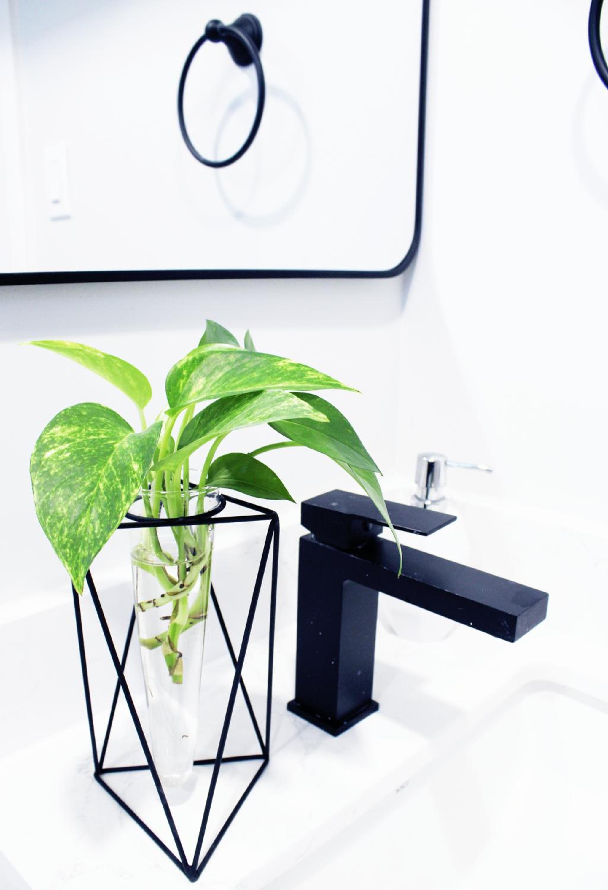 Urban Haven: 2BR/2BA+Office, Kitchen, Dining