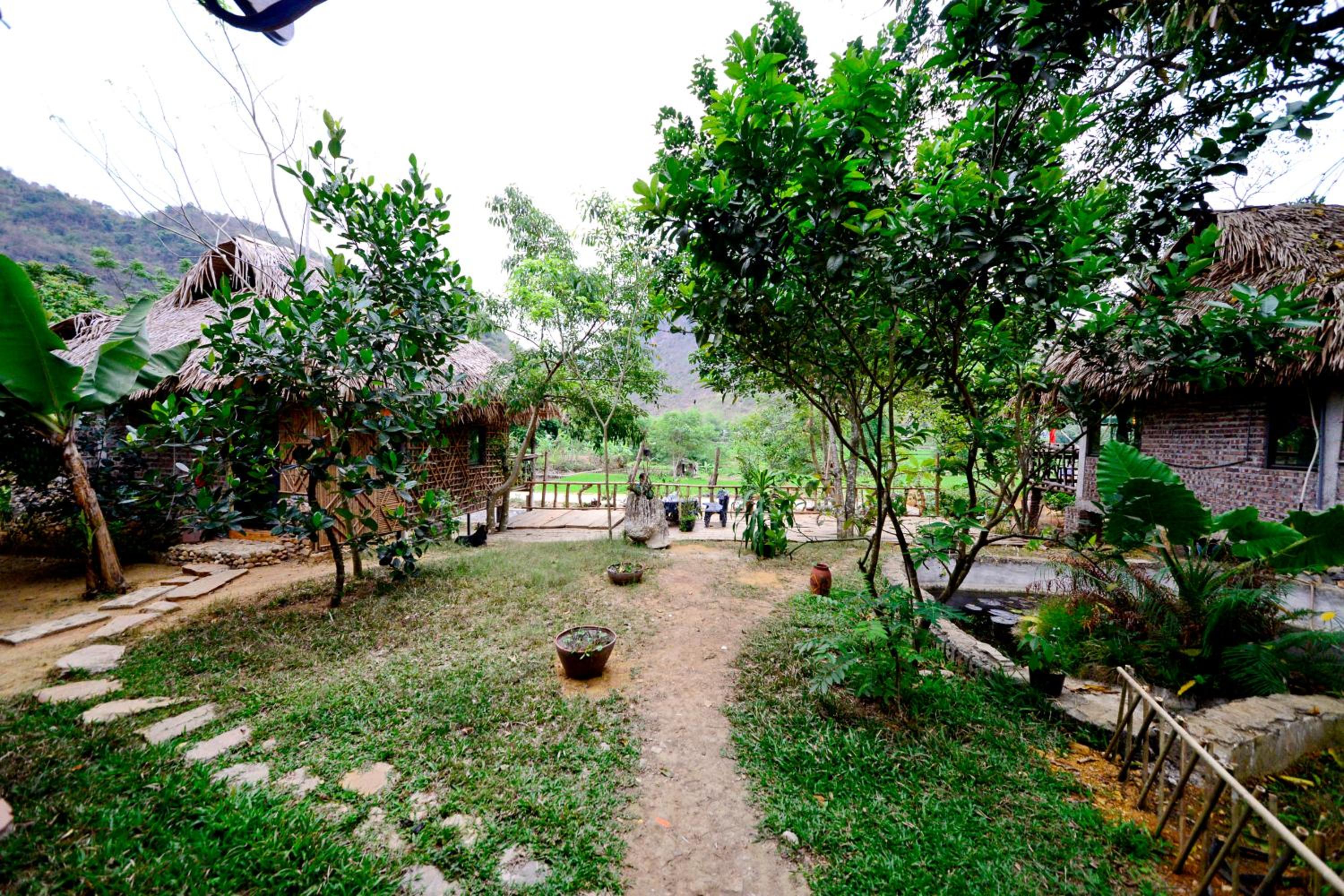 Photo 16