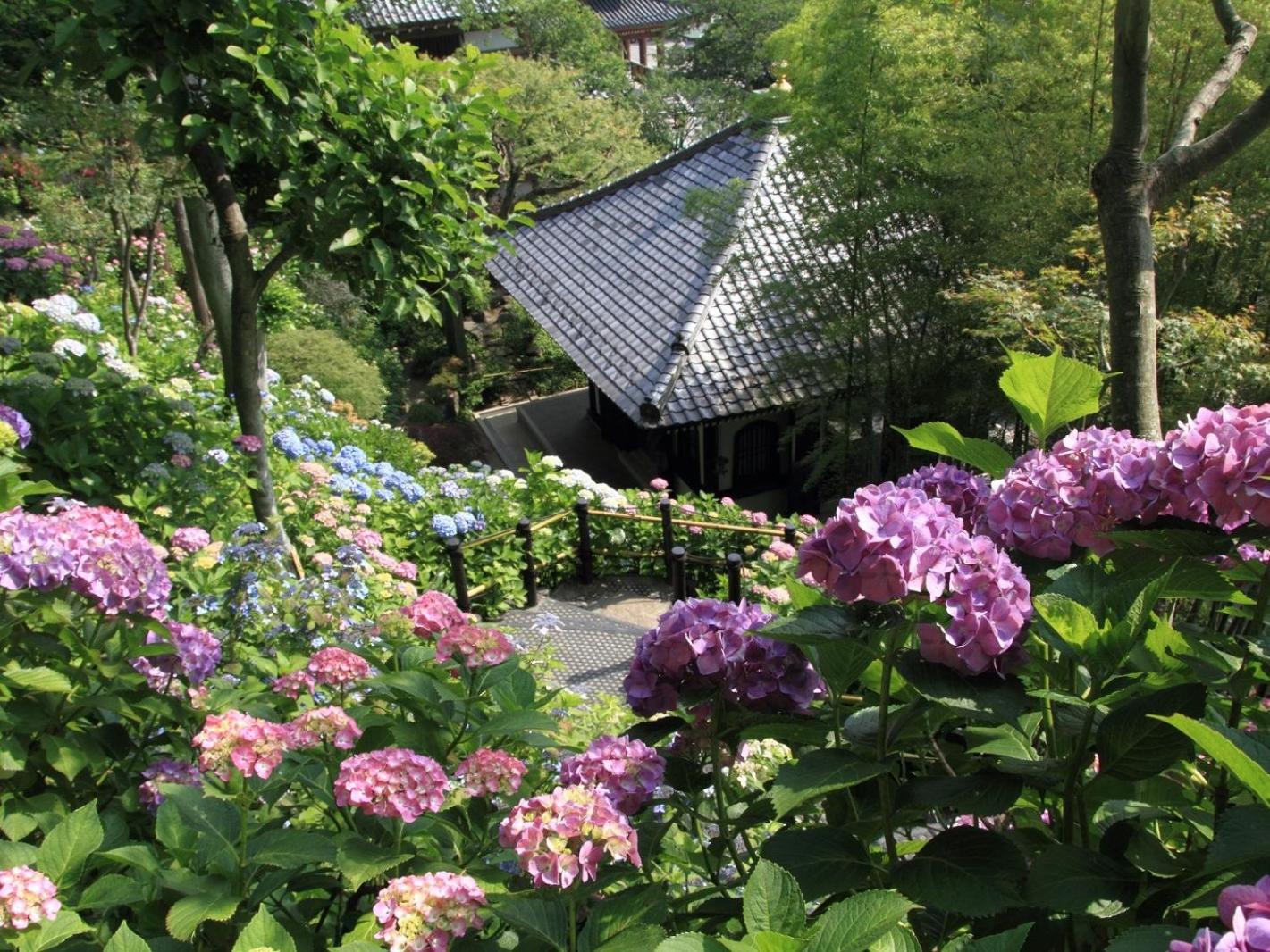 WeBase KAMAKURA