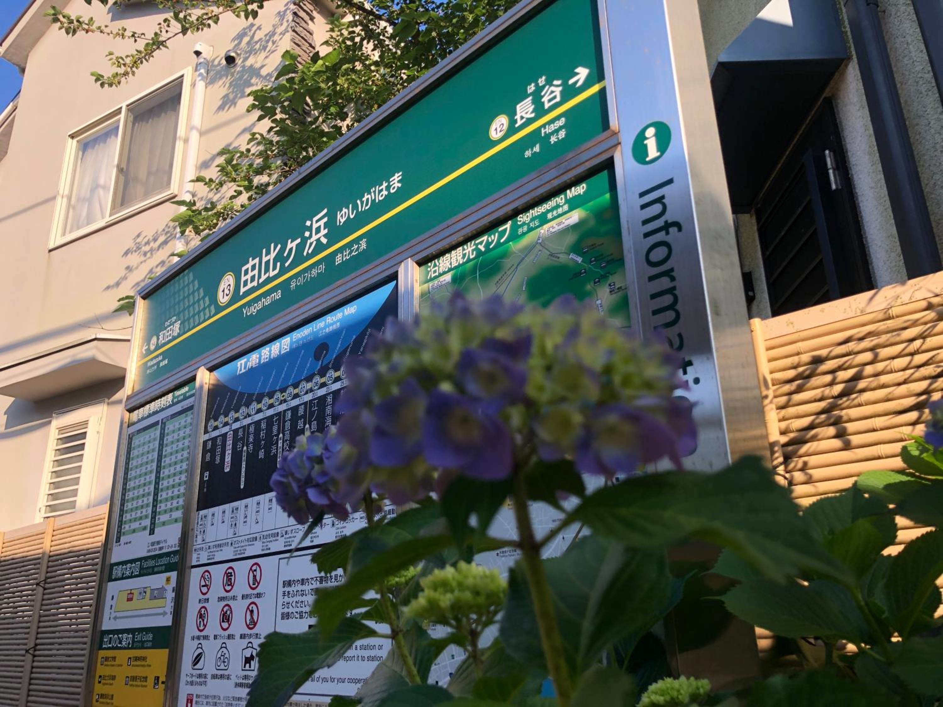 WeBase KAMAKURA